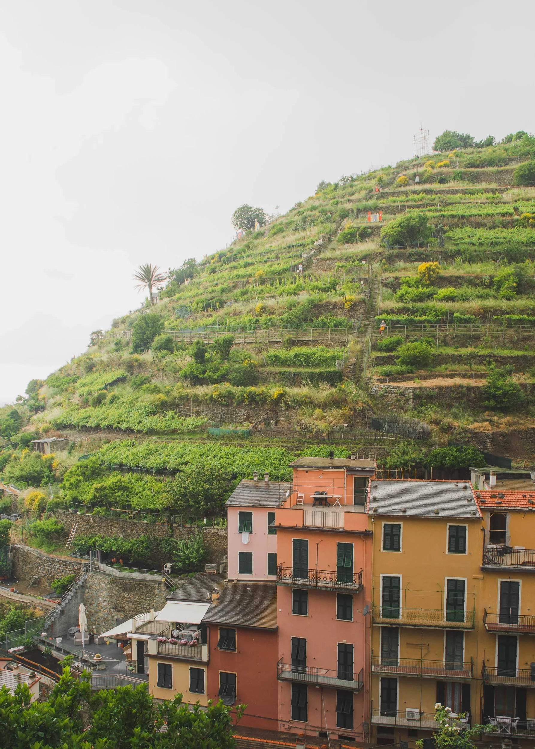 Manarola, Cinque Terre, Liguria, Italy
