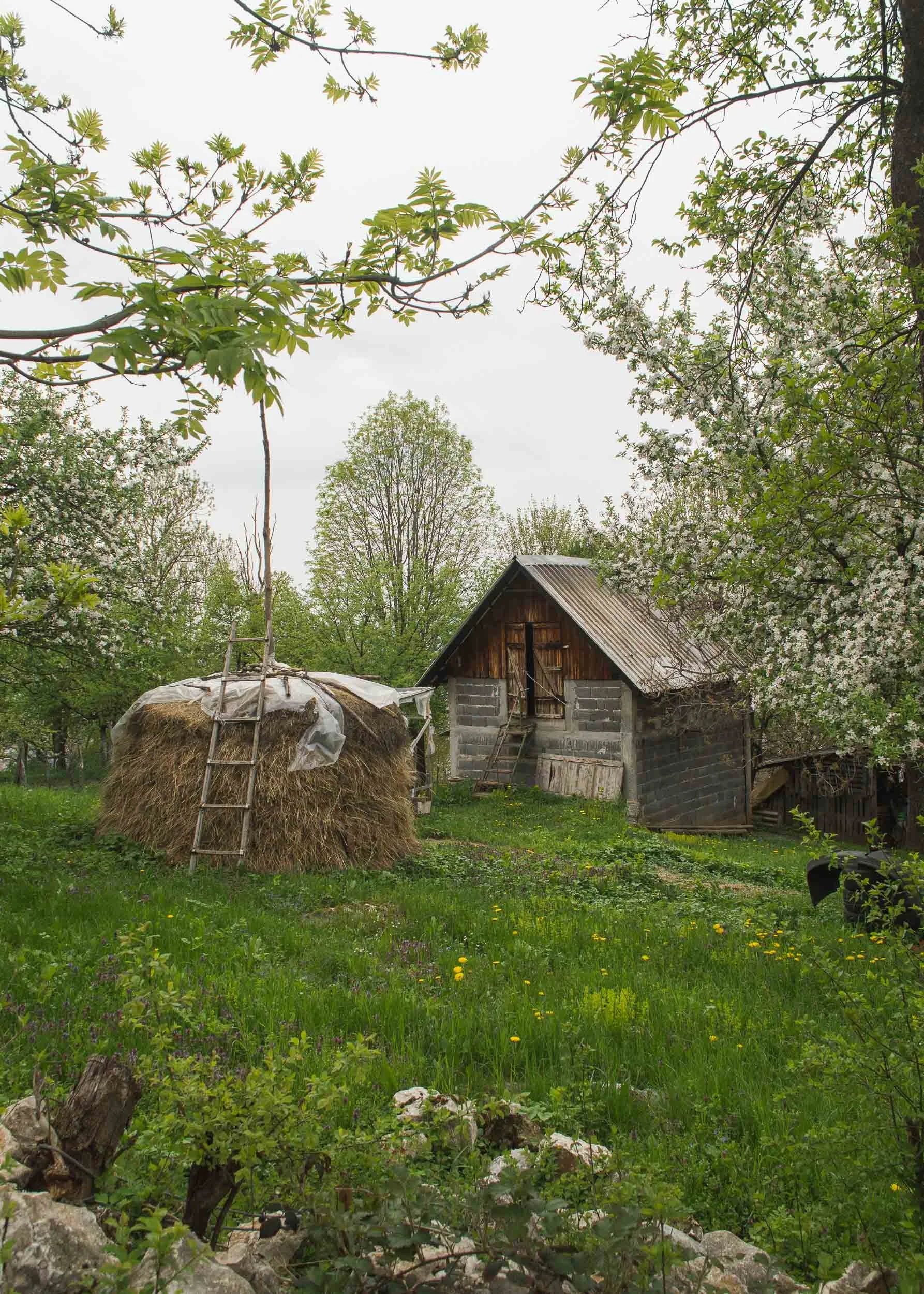On the outskirts of Sarajevo, Trebević, Bosnia & Herzegovina