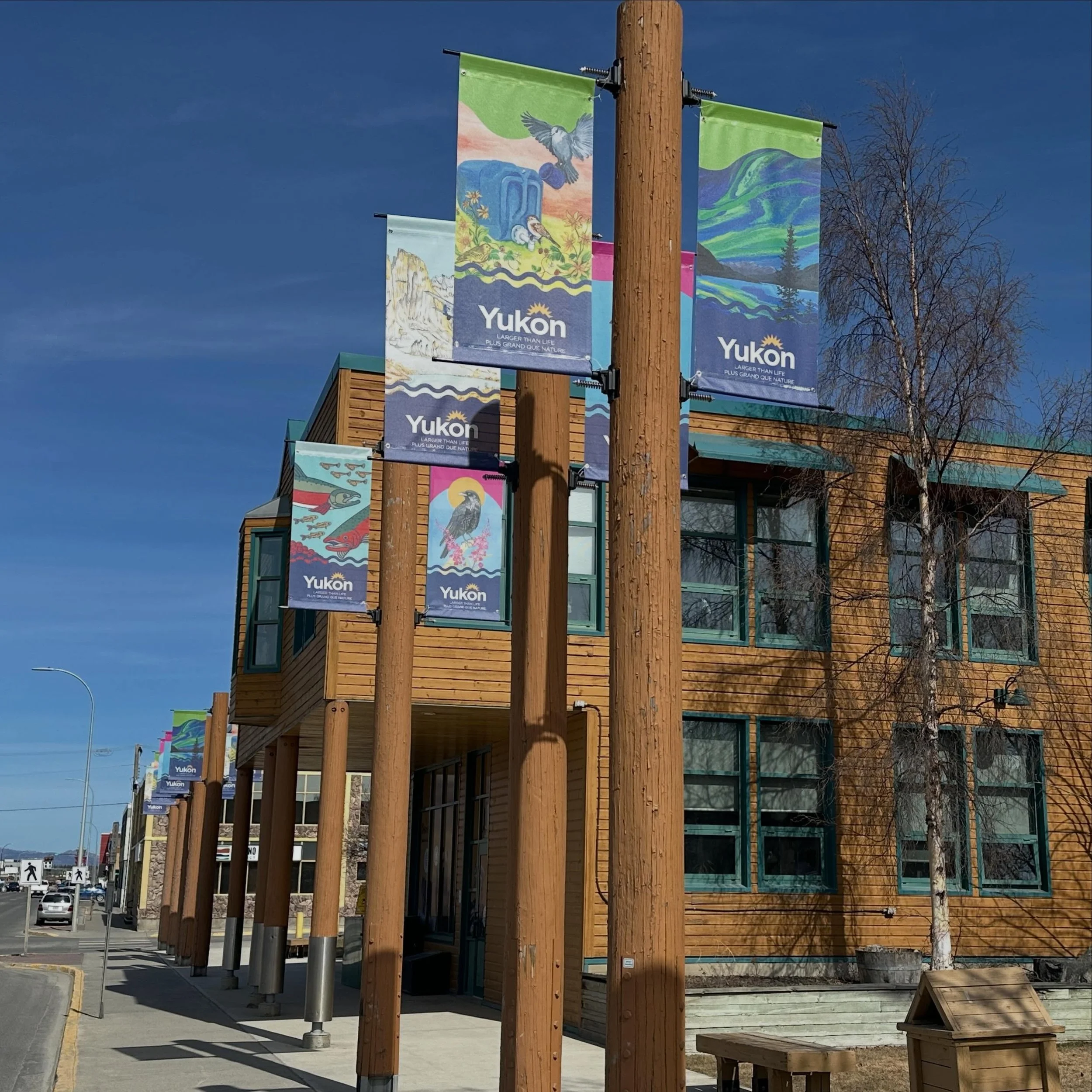 Excited to see these banners up in the wild!
What a beautiful collection of colourful Yukon art! 
Starting to feel like summer with the blue skies, long days, and all the new fresh greenery&hellip; you can&rsquo;t beat the Yukon these days!
☀️❤️
#yuk