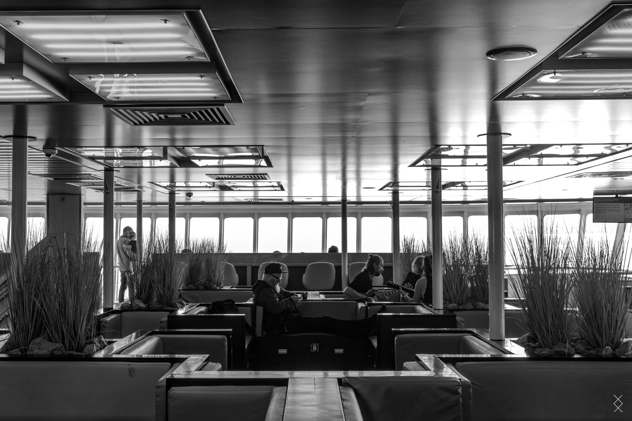 Into the great wide open 2019