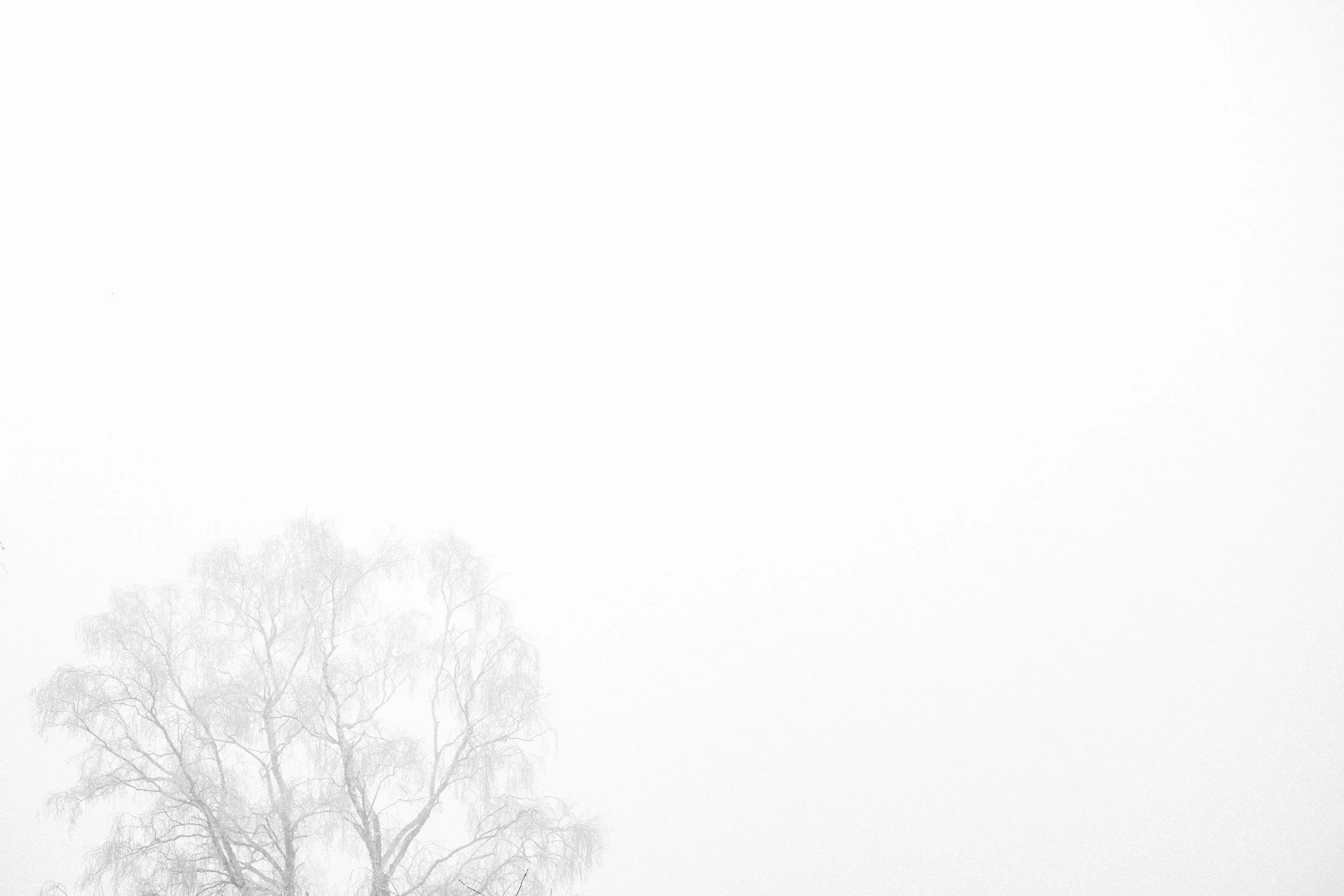 Maaike Ronhaar -DSC06609.JPG