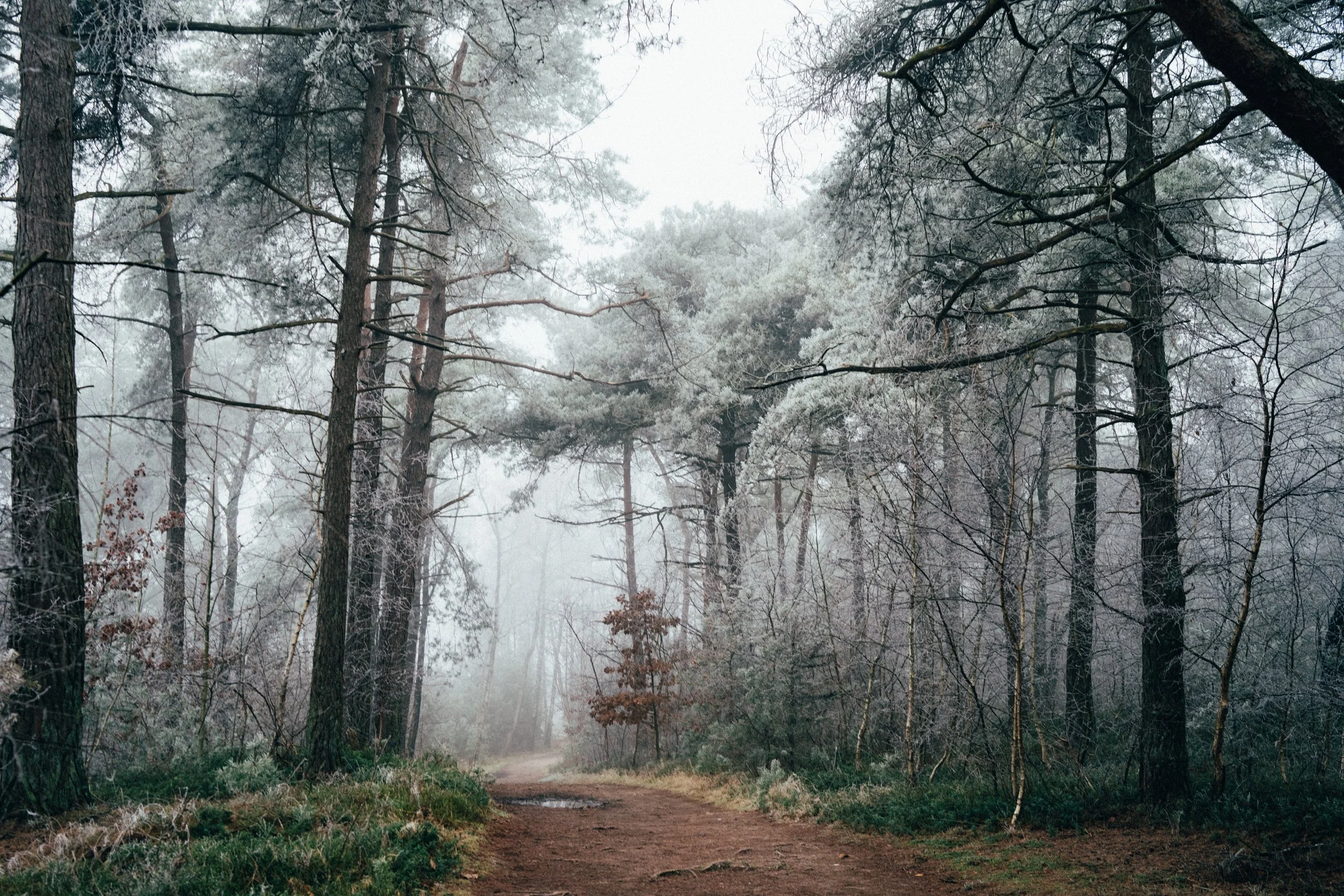 Maaike Ronhaar -DSC06587.JPG