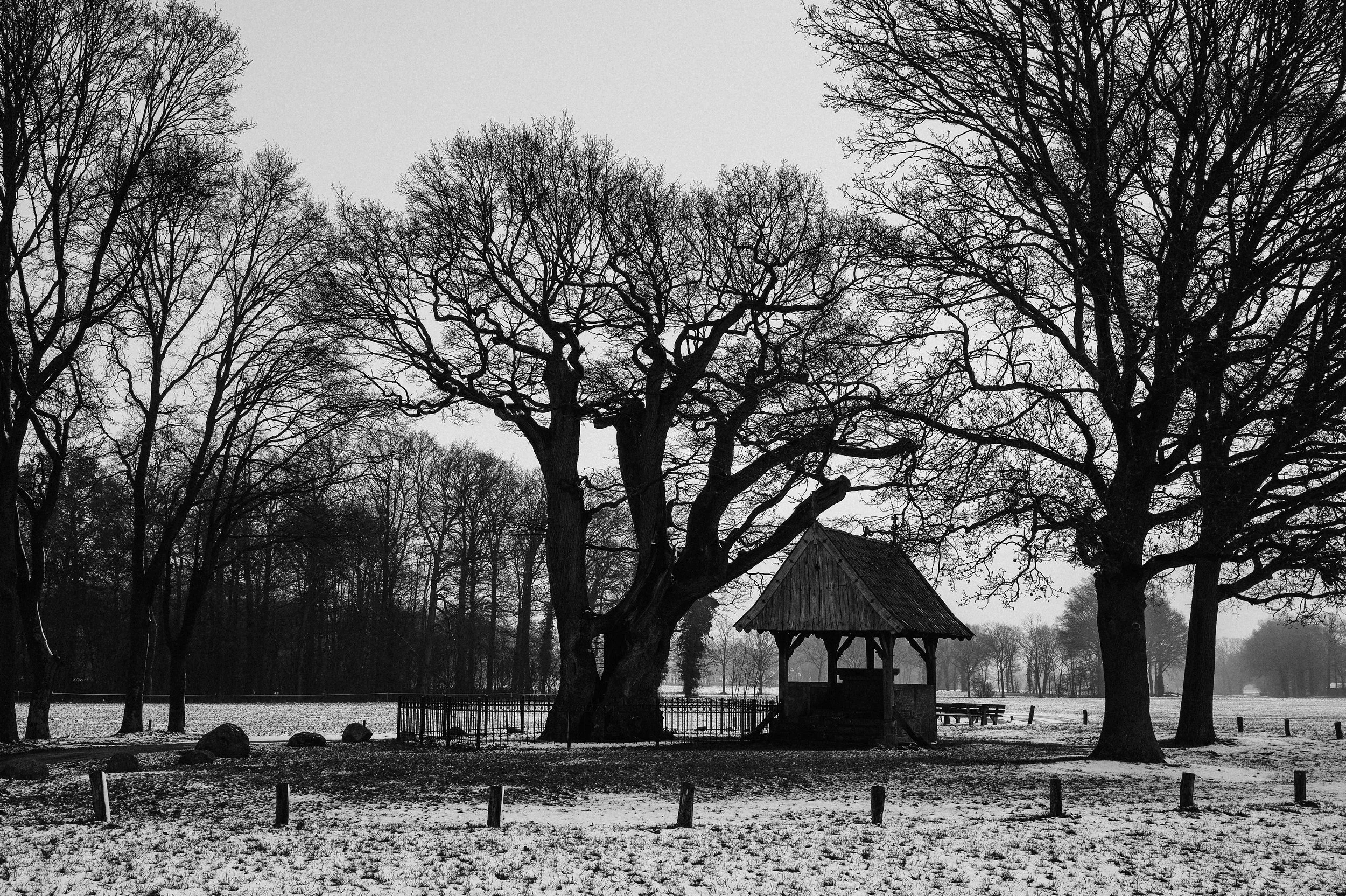 Maaike Ronhaar - L9997527.jpg