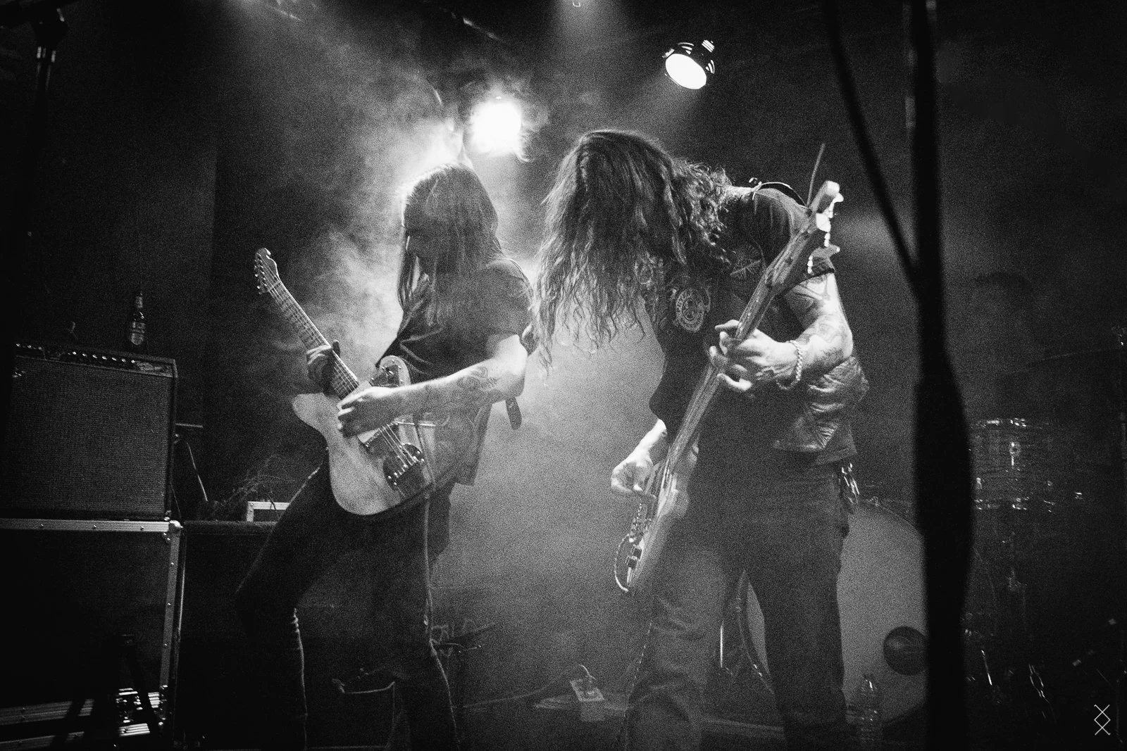 Temple Fang Arnhem, 2019 