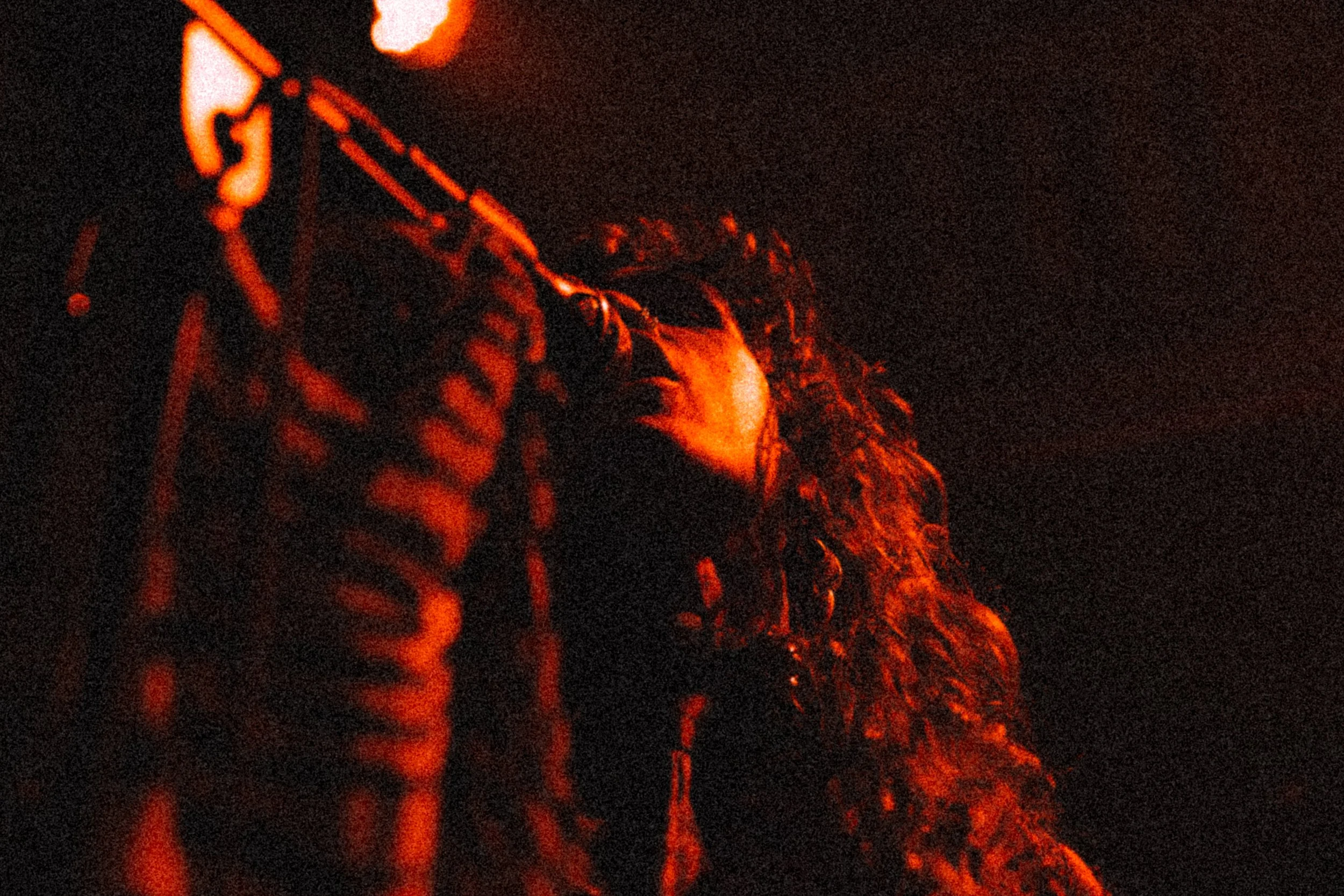 Bird Experience - Album Releaseshow 2026-259.jpg