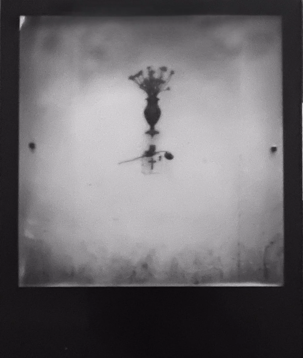 Firenze, Itaila 2019 // (Polaroid film)