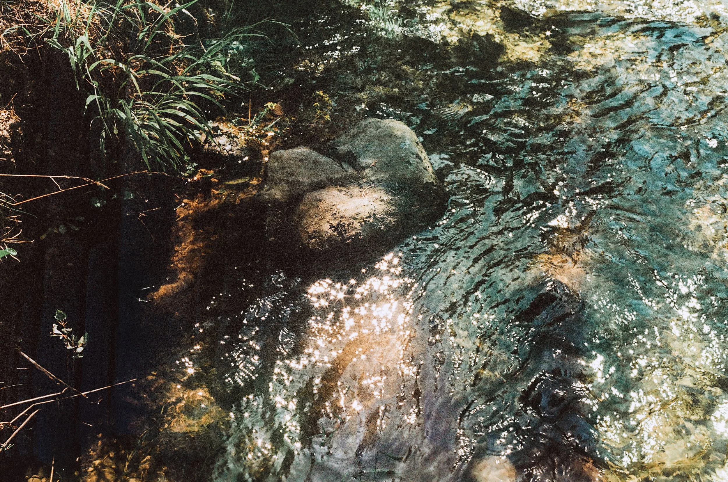 Frankrijk 2024- Maaike Ronhaar -0013_25A000021600013.jpg