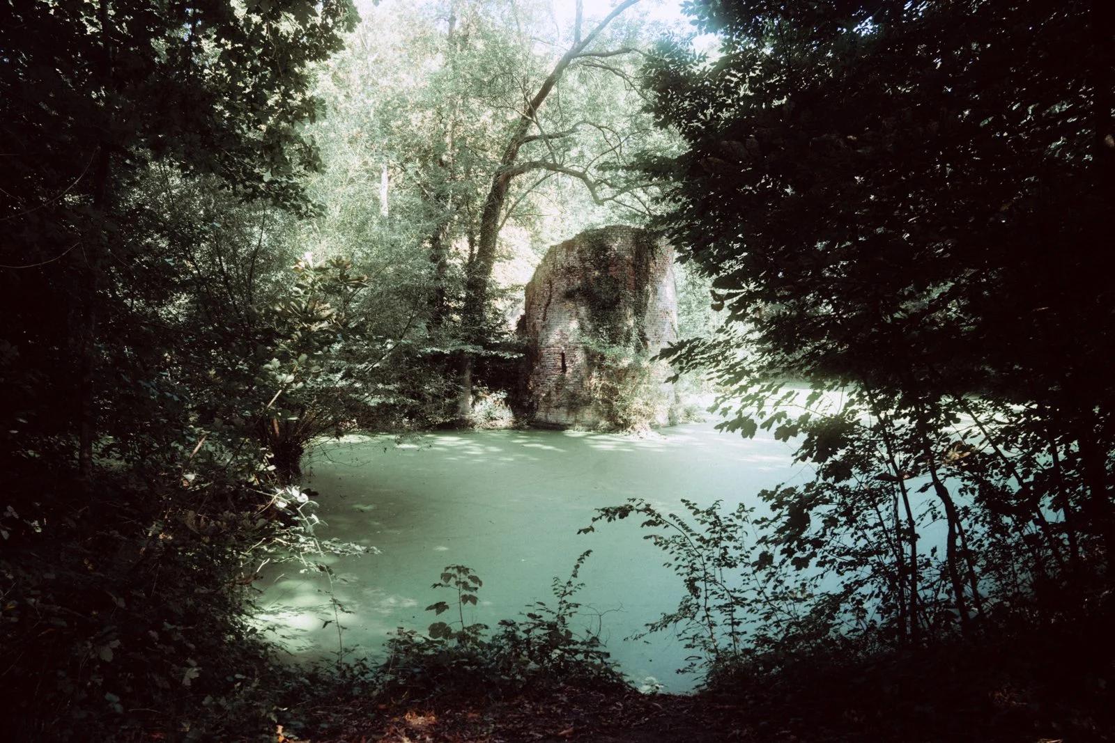 Revelations- Maaike Ronhaar -DSC09834-2.jpg