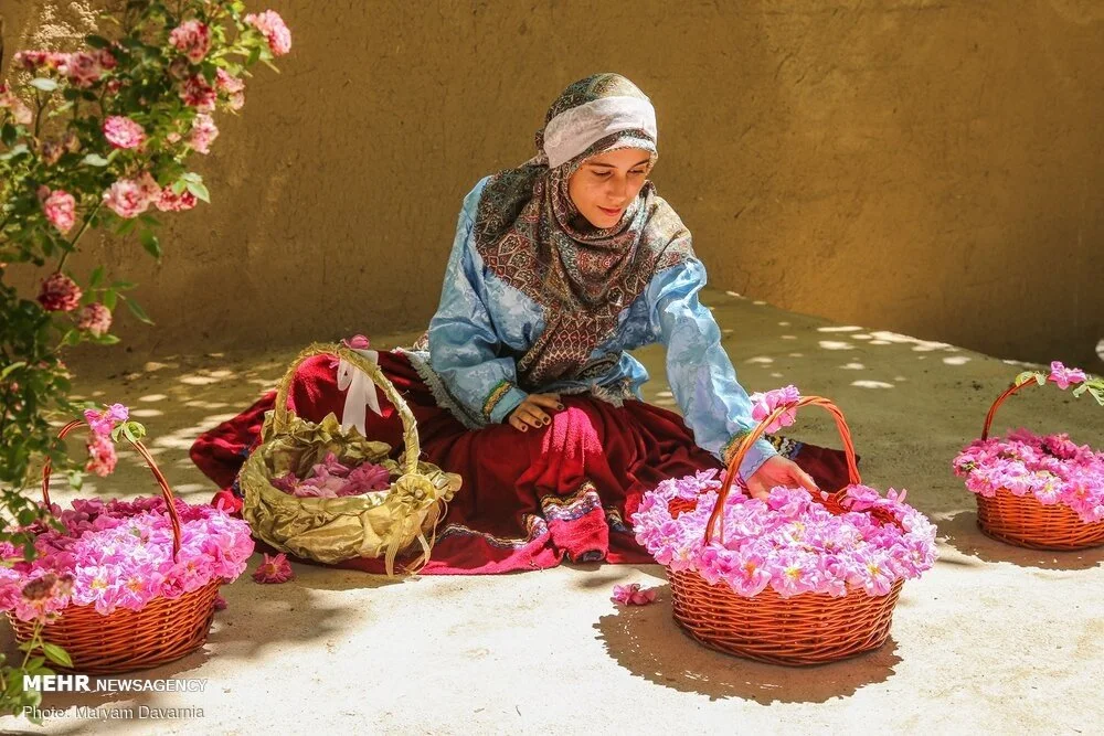 THE “Fragrant Journeys”: A 400-YEAR SYMPHONY OF SILK, RESIN, AND STATECRAFT