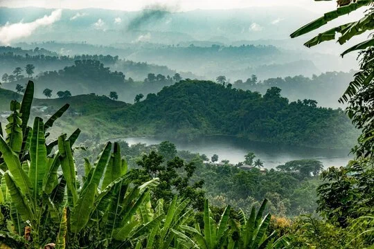 Embassy of Bangladesh 