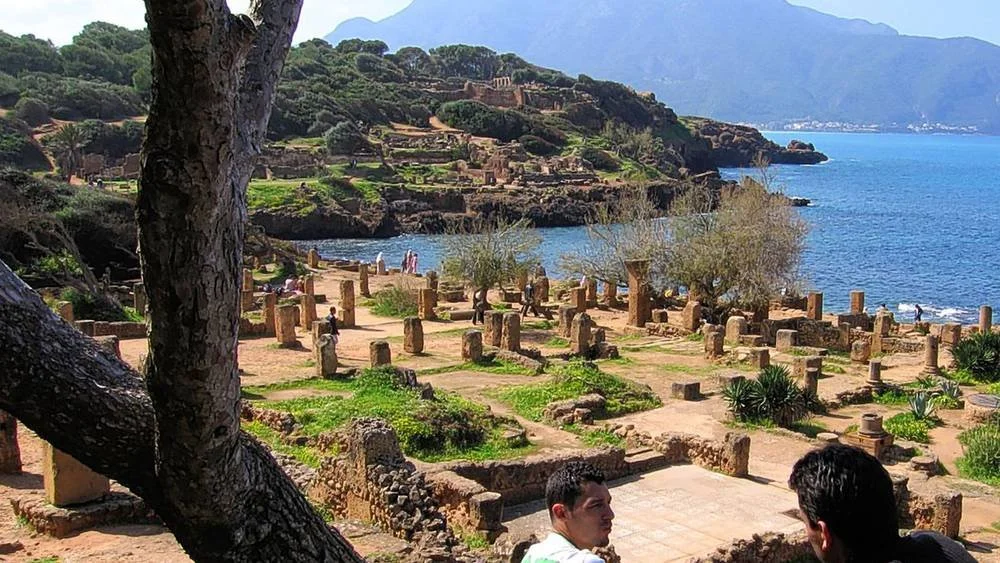 Algeria - Oman