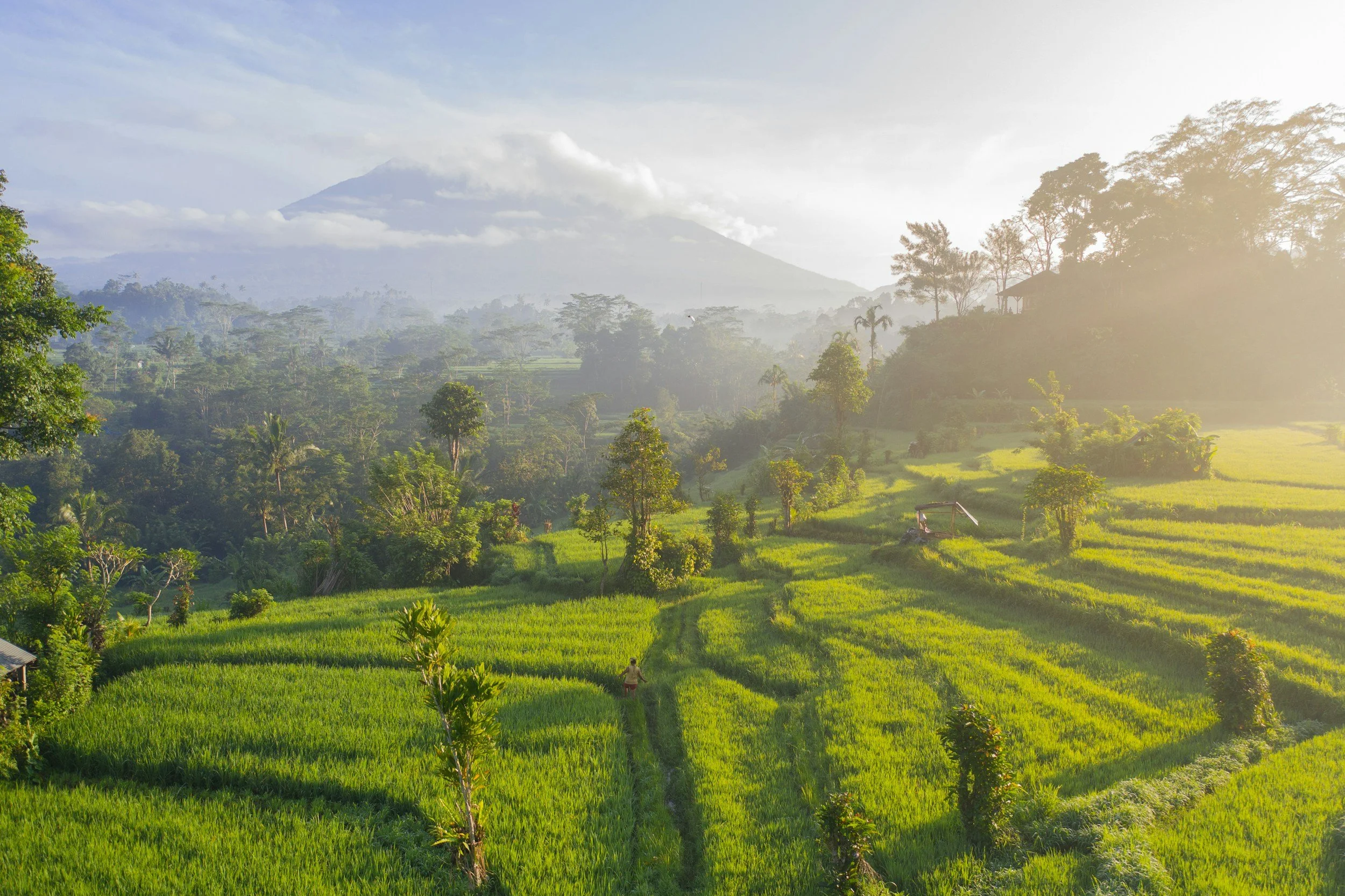 Nature in Indonesia