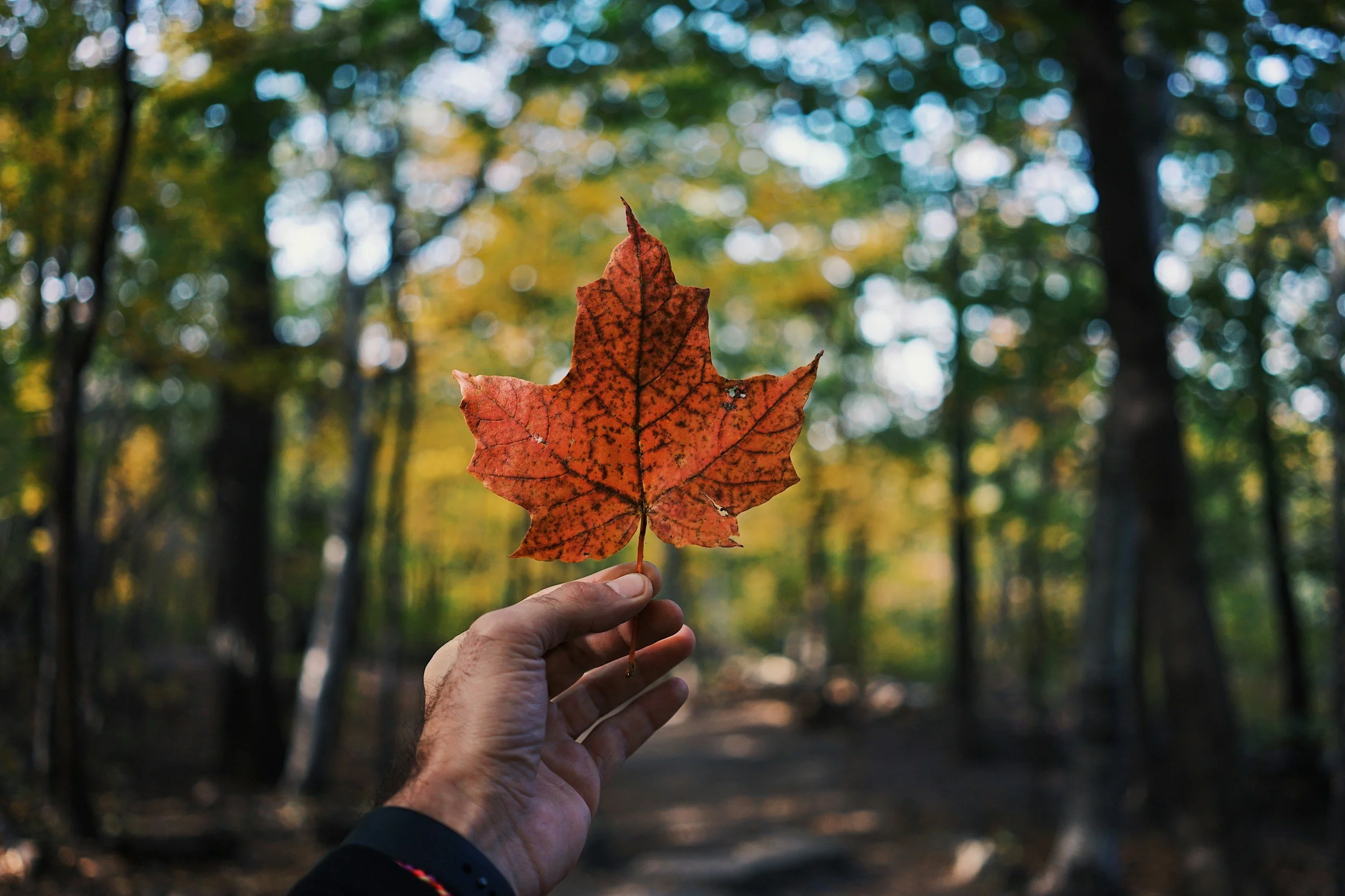 Canada and nature