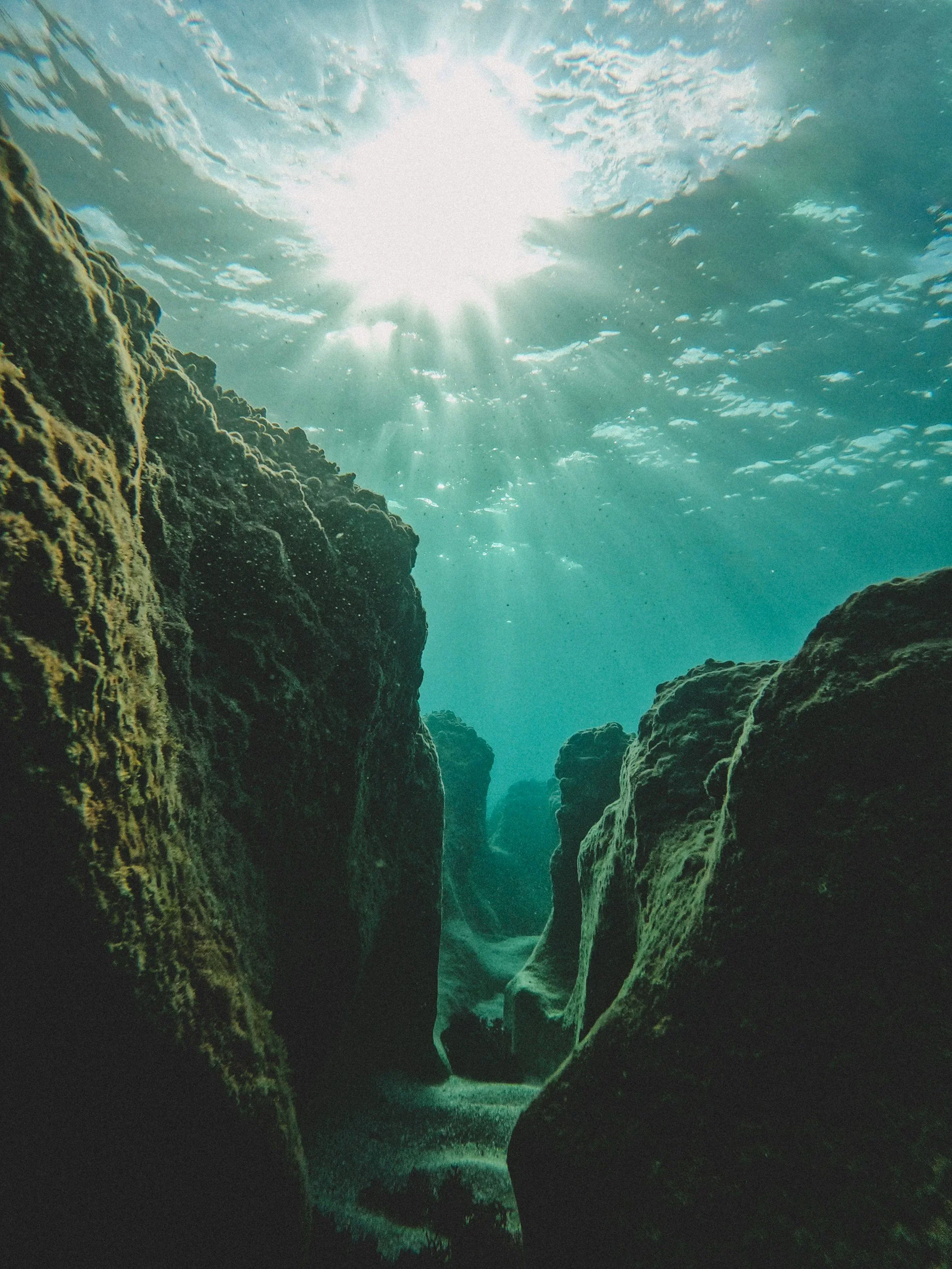 Daymaniyat Islands underwater marine life and diving in Oman