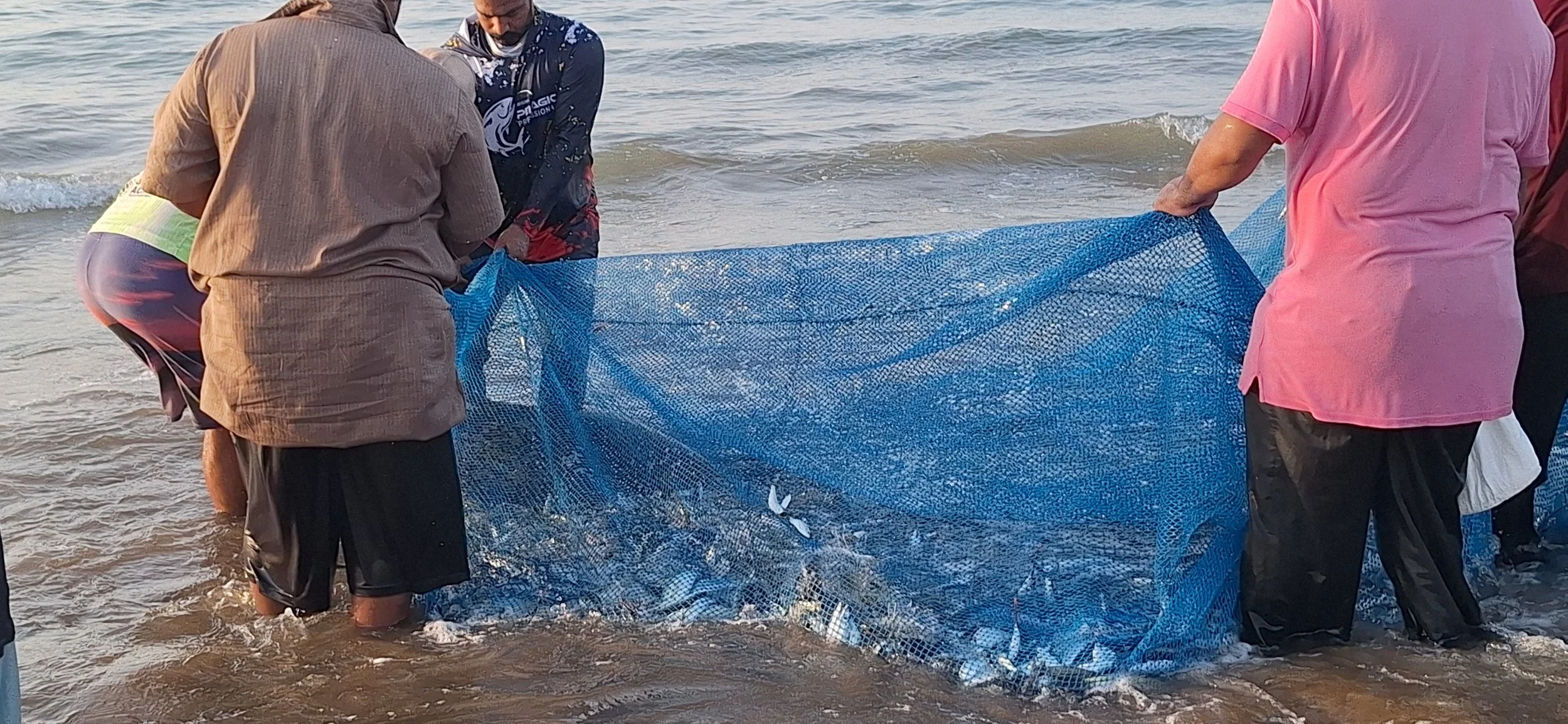 Traditional Omani coastal fishing and marine culture