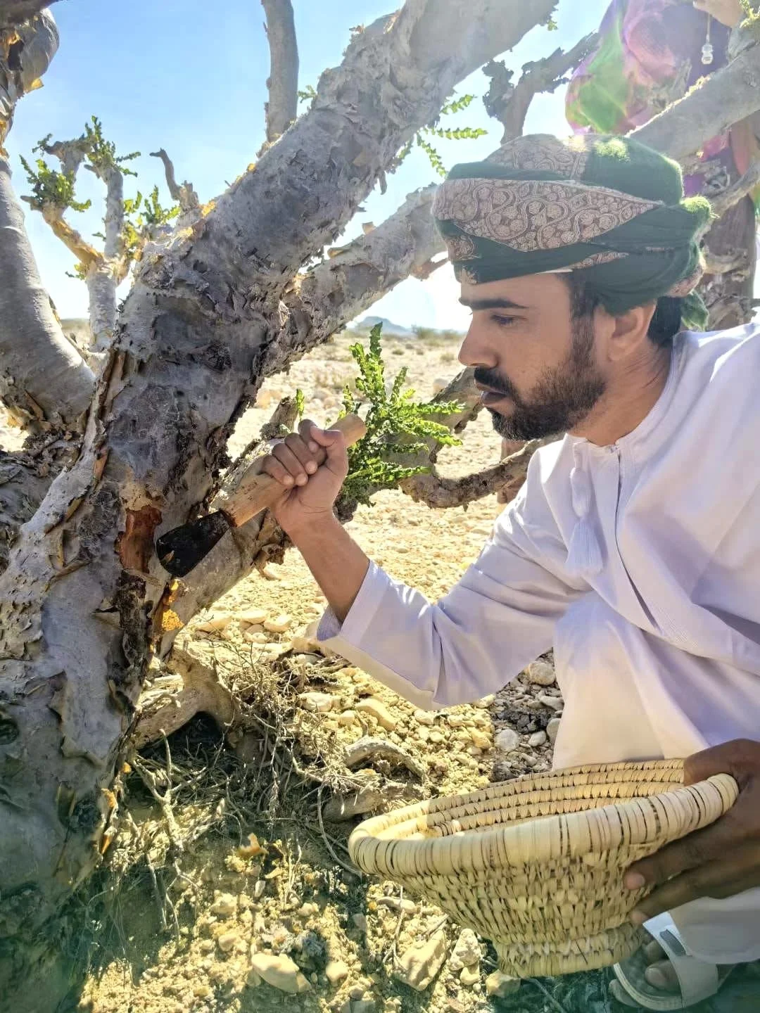 Frankincense luban.jpeg