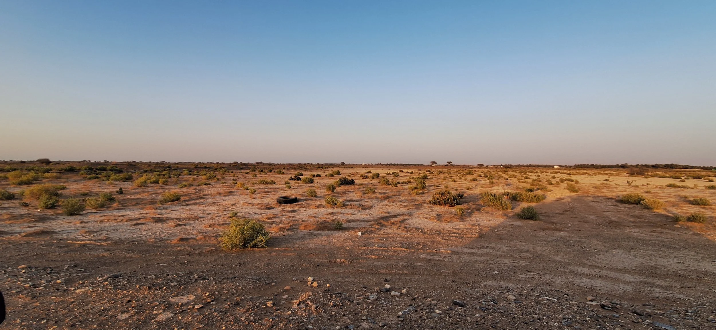 Desert
