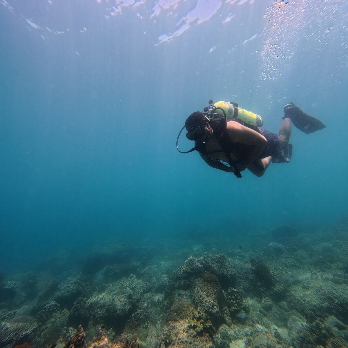 A scuba diver swimming above a coral reef underwater.