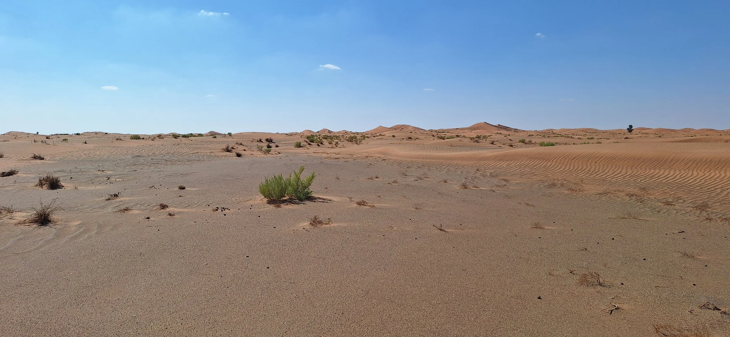 20251126_133538.jpg