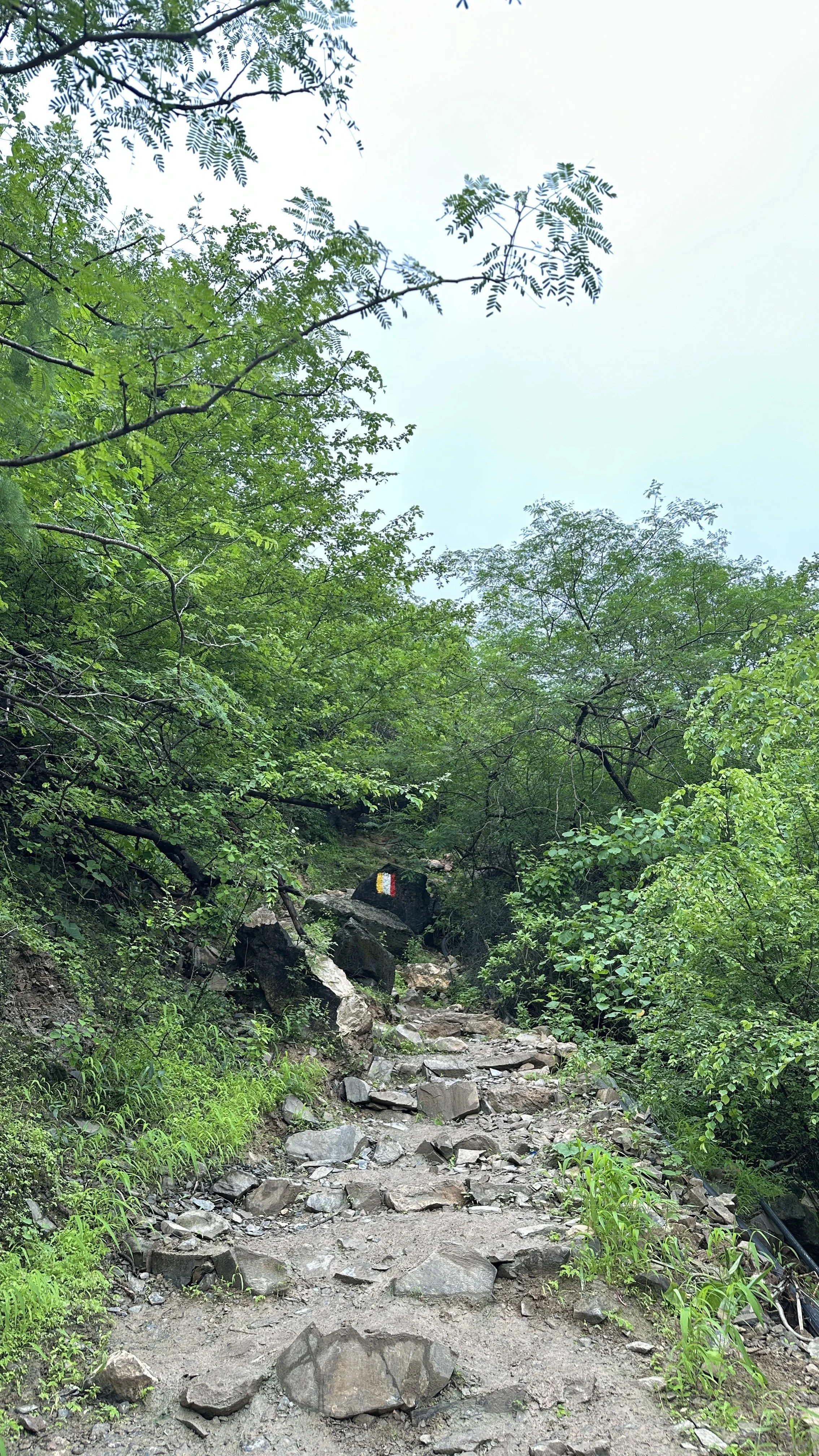 Salalah