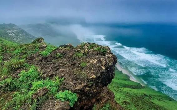 Salalah Oman.jpg