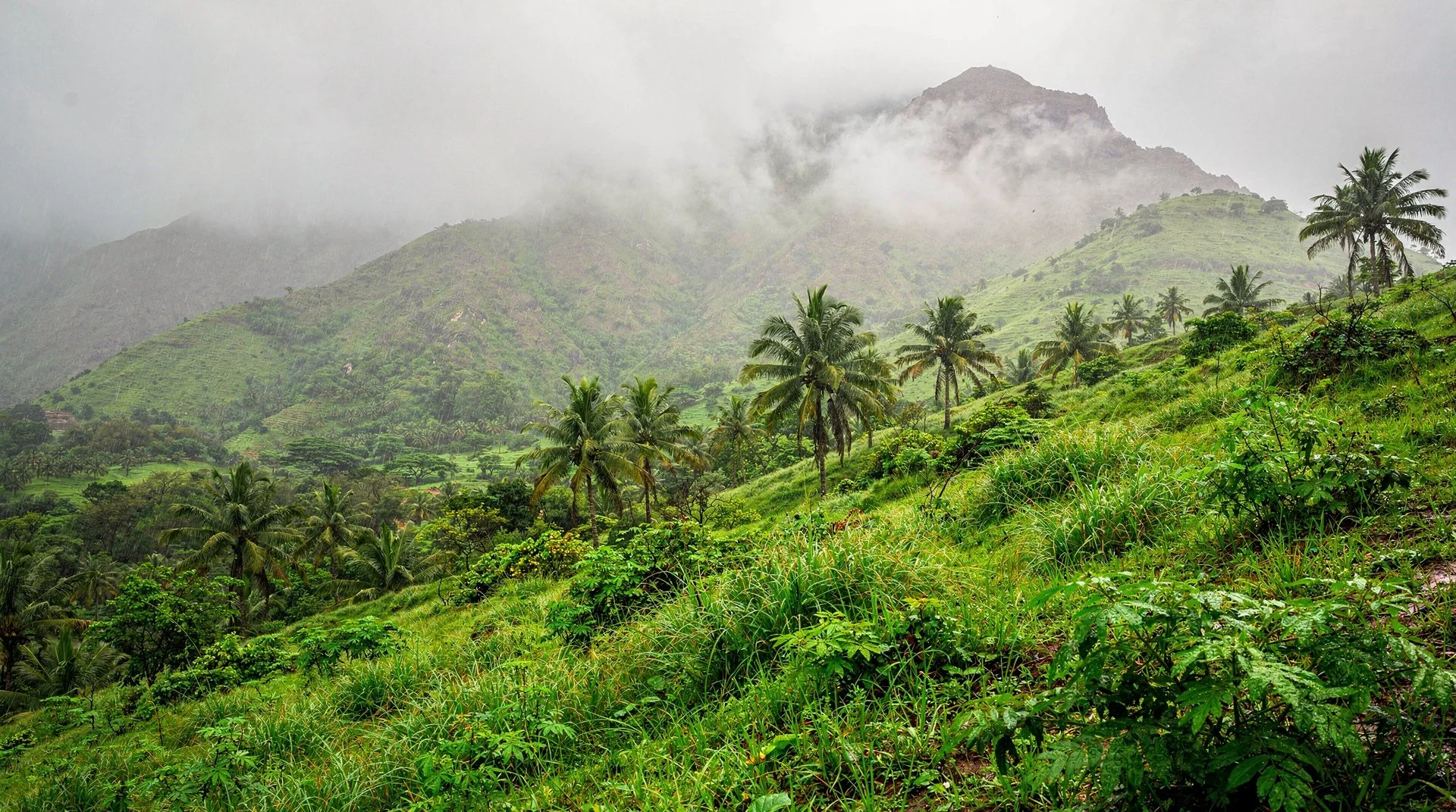 Salalah Oman Khareef season.jpg