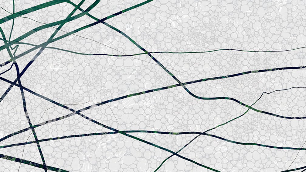 Degree_1a_web.jpg