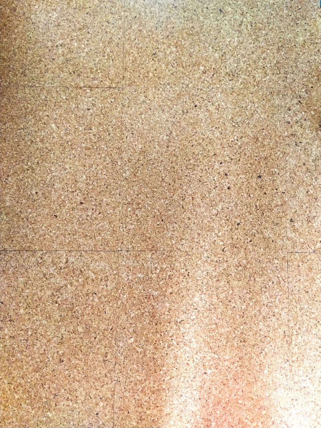 Cork02S.jpg