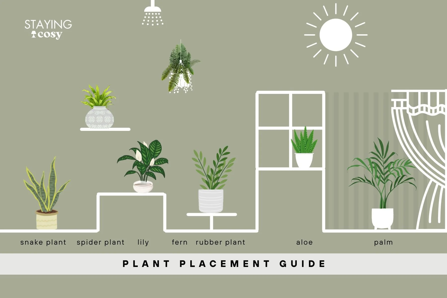 Infographic showing best indoor plant placement near windows, shelves, and furniture for optimal light and air purification.