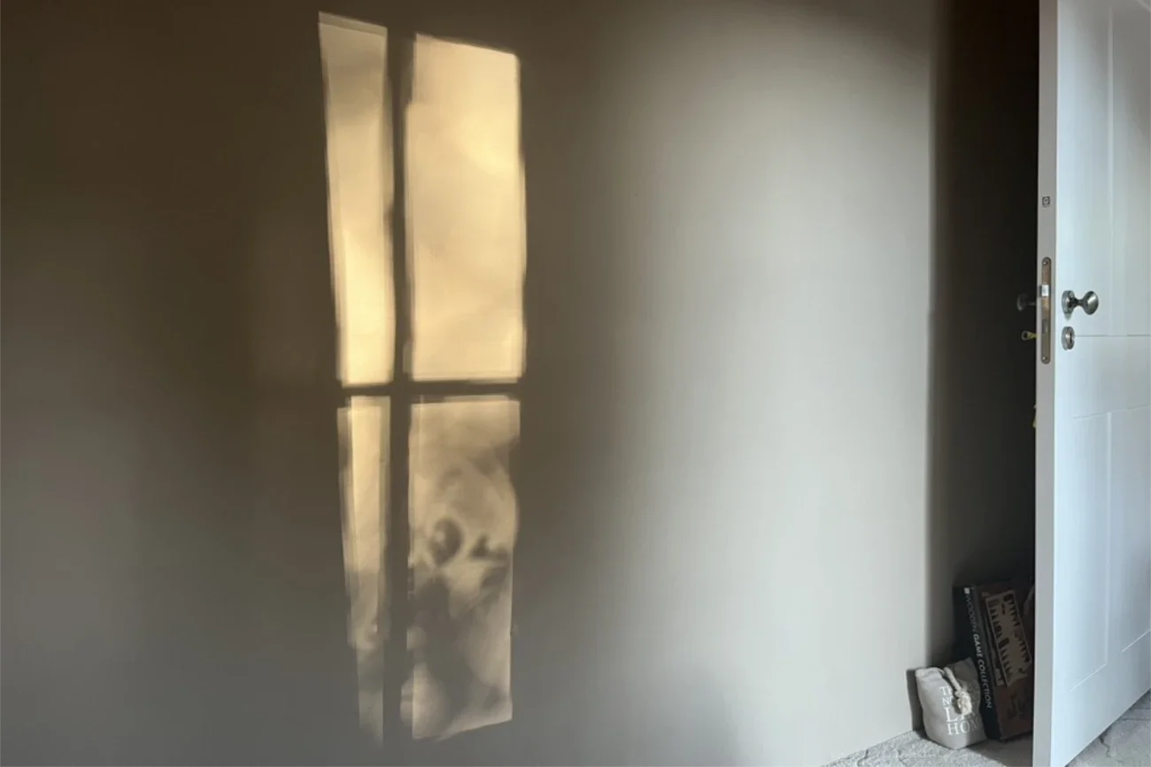 Living with Clay Plaster — The Beauty, Trade-Offs and Reality