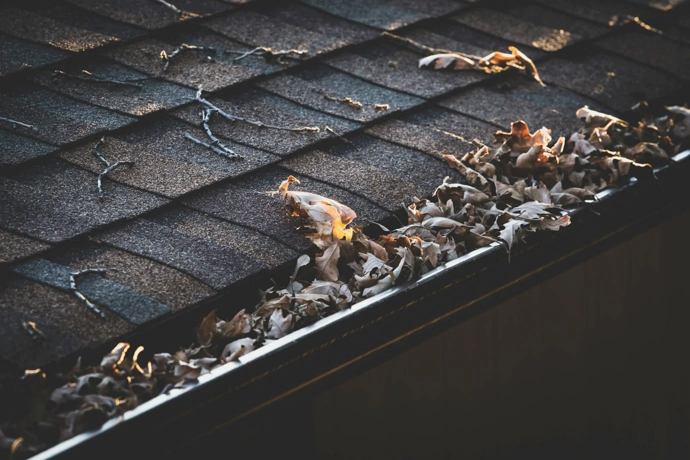 • Atmospheric autumn scene of residential metal roof gutters blocked and filled with fallen brown leaves.