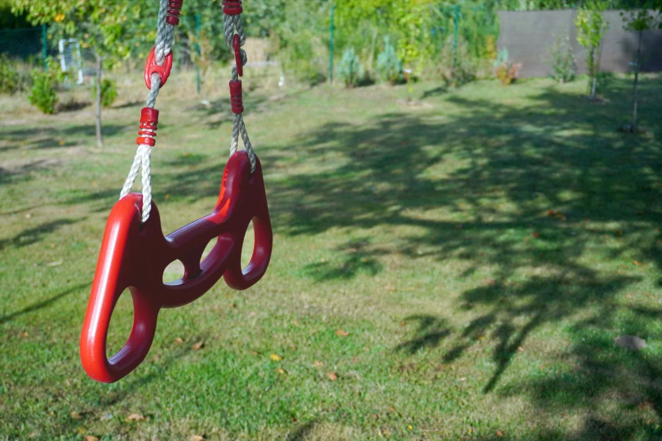 Minimalist kids monkey bars hanging from a mature tree branch over lush green grass, showcasing a family-friendly holistic backyard design.