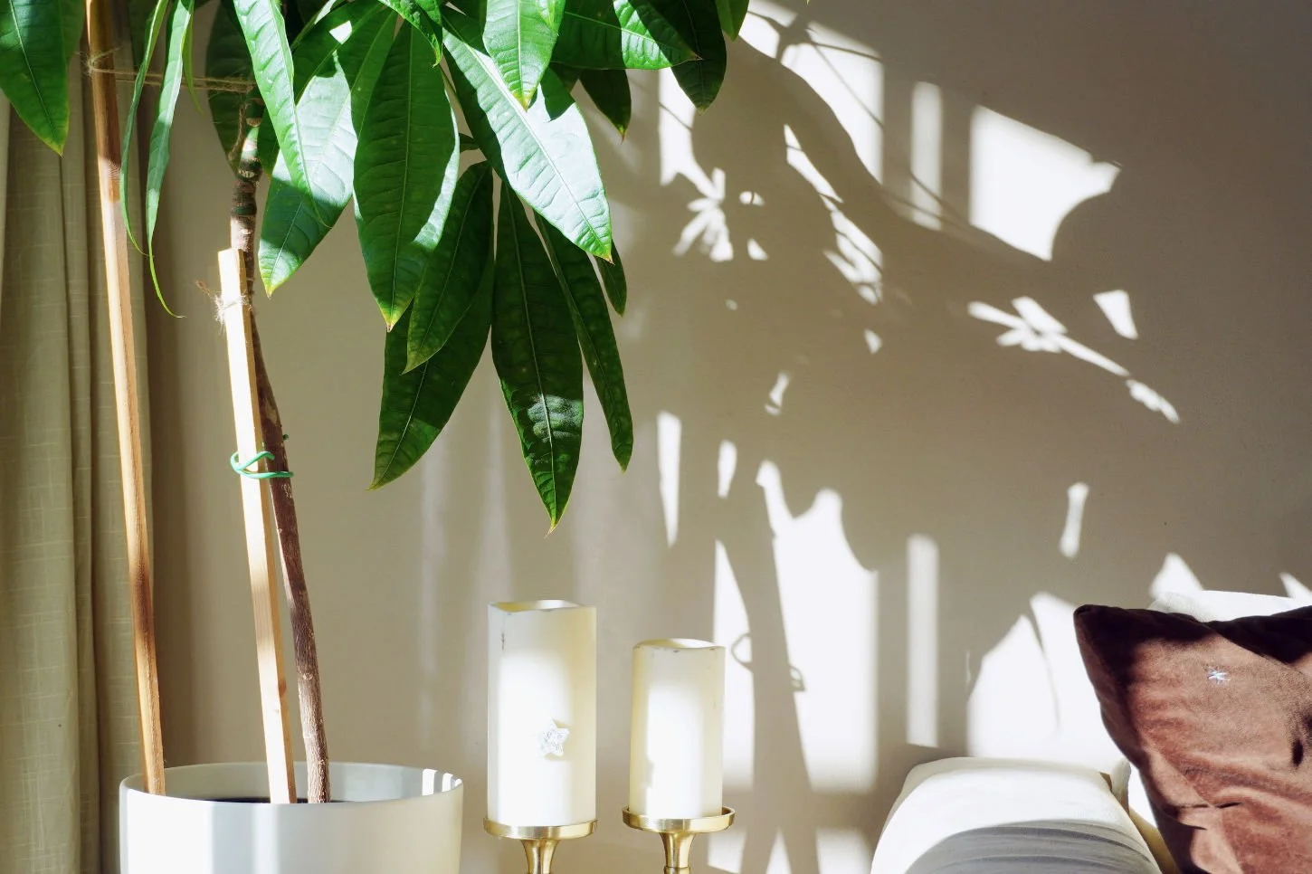 A peaceful and sun-lit cozy living room corner styled with a large green plant, candles, and rich tactile decor textures.