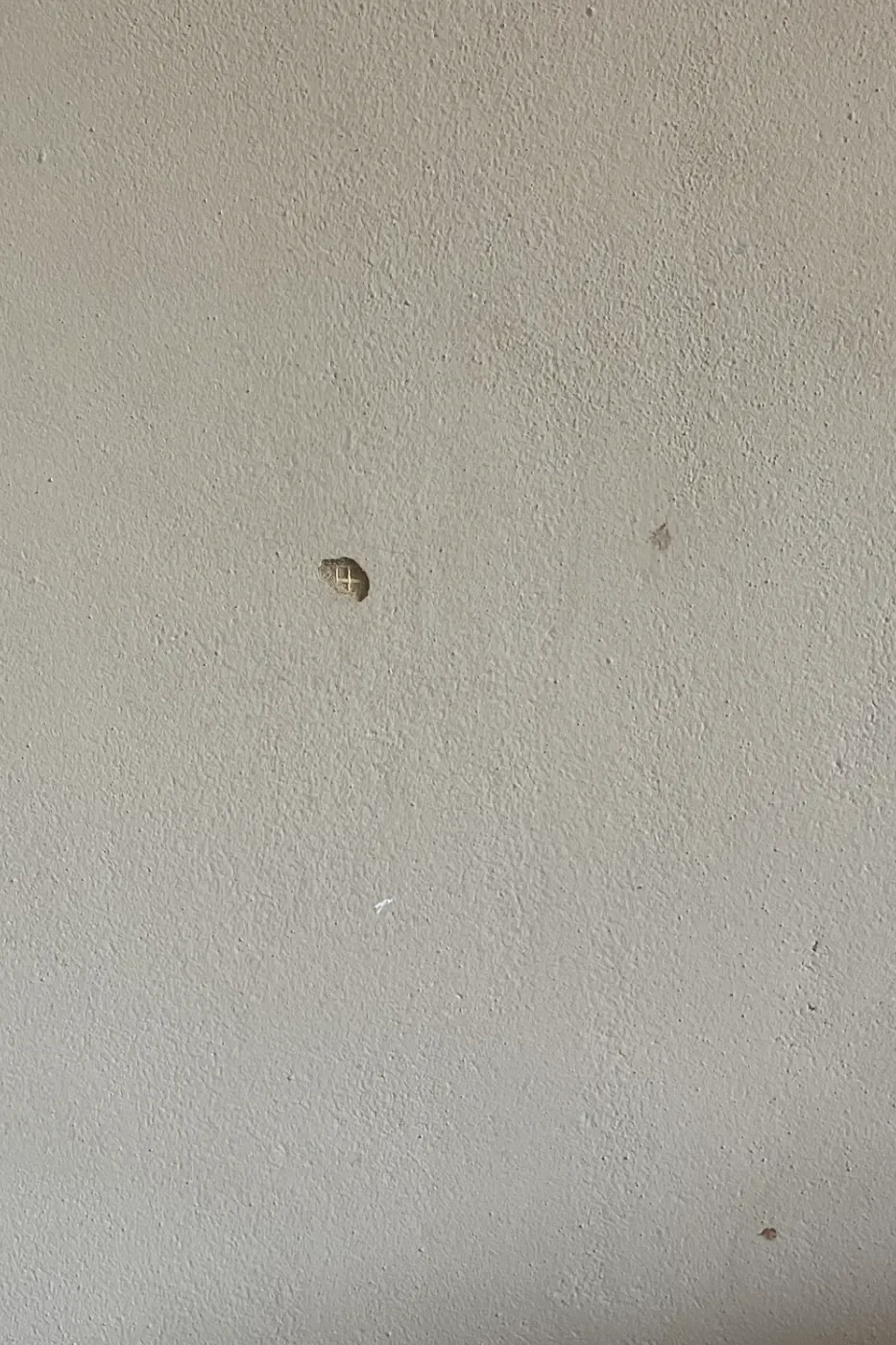 Close-up of textured clay plaster wall showing small marks and natural imperfections