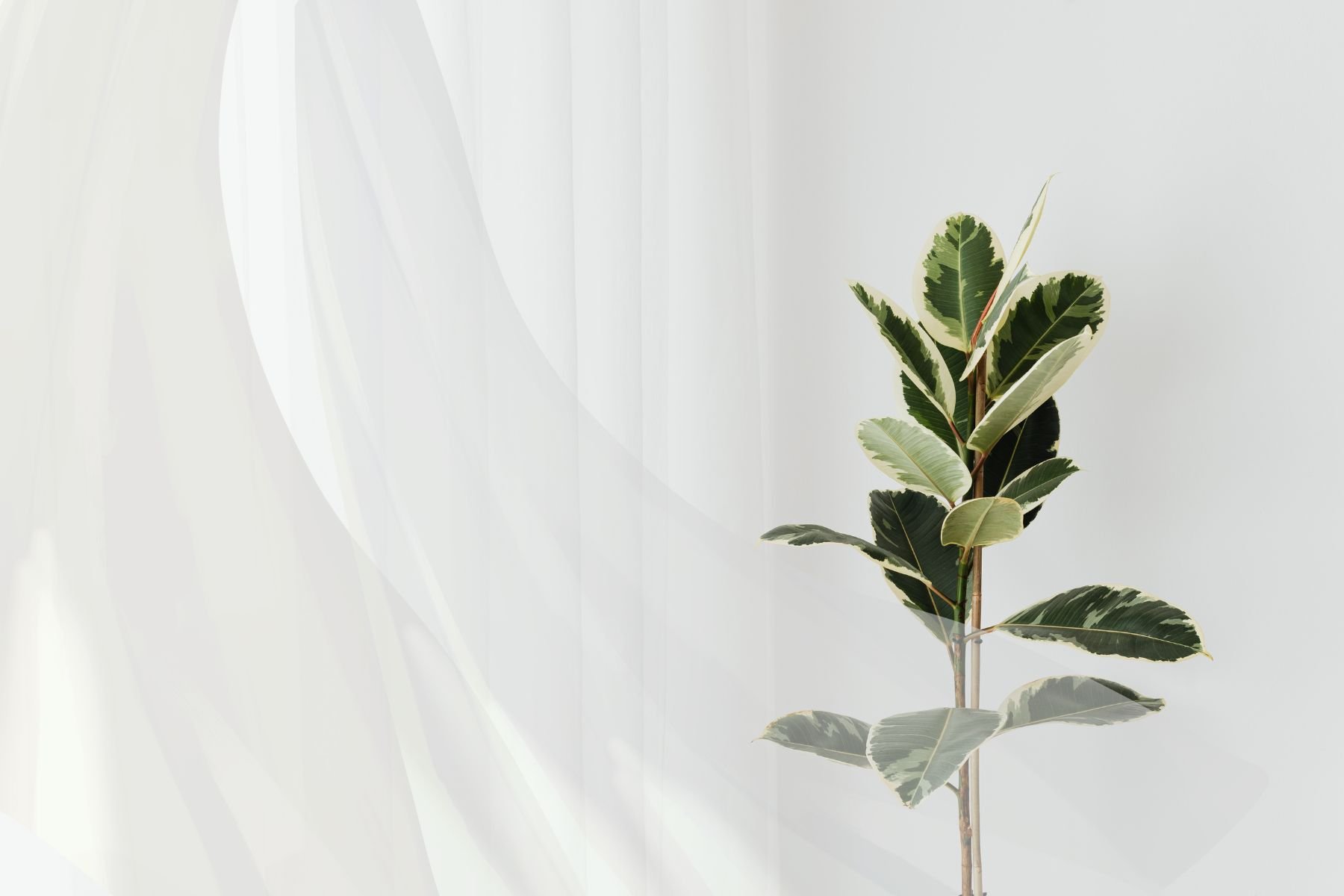 Why Fresh Air Is the Most Underrated Element of a Healthy Home