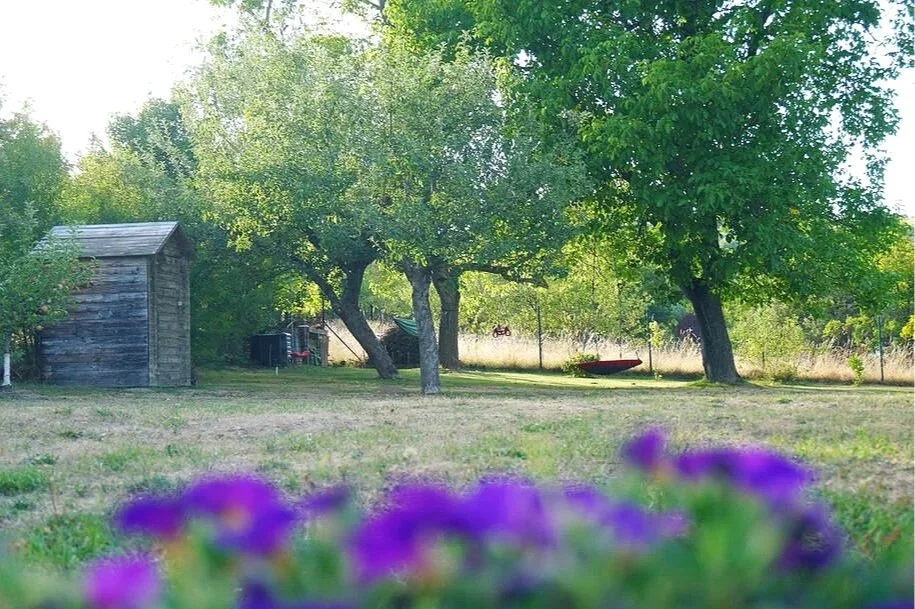 Sunlit spacious family garden featuring mature shade trees and minimalist swings, capturing the essence of sustainable slow living and outdoor wellness for a four-person family.