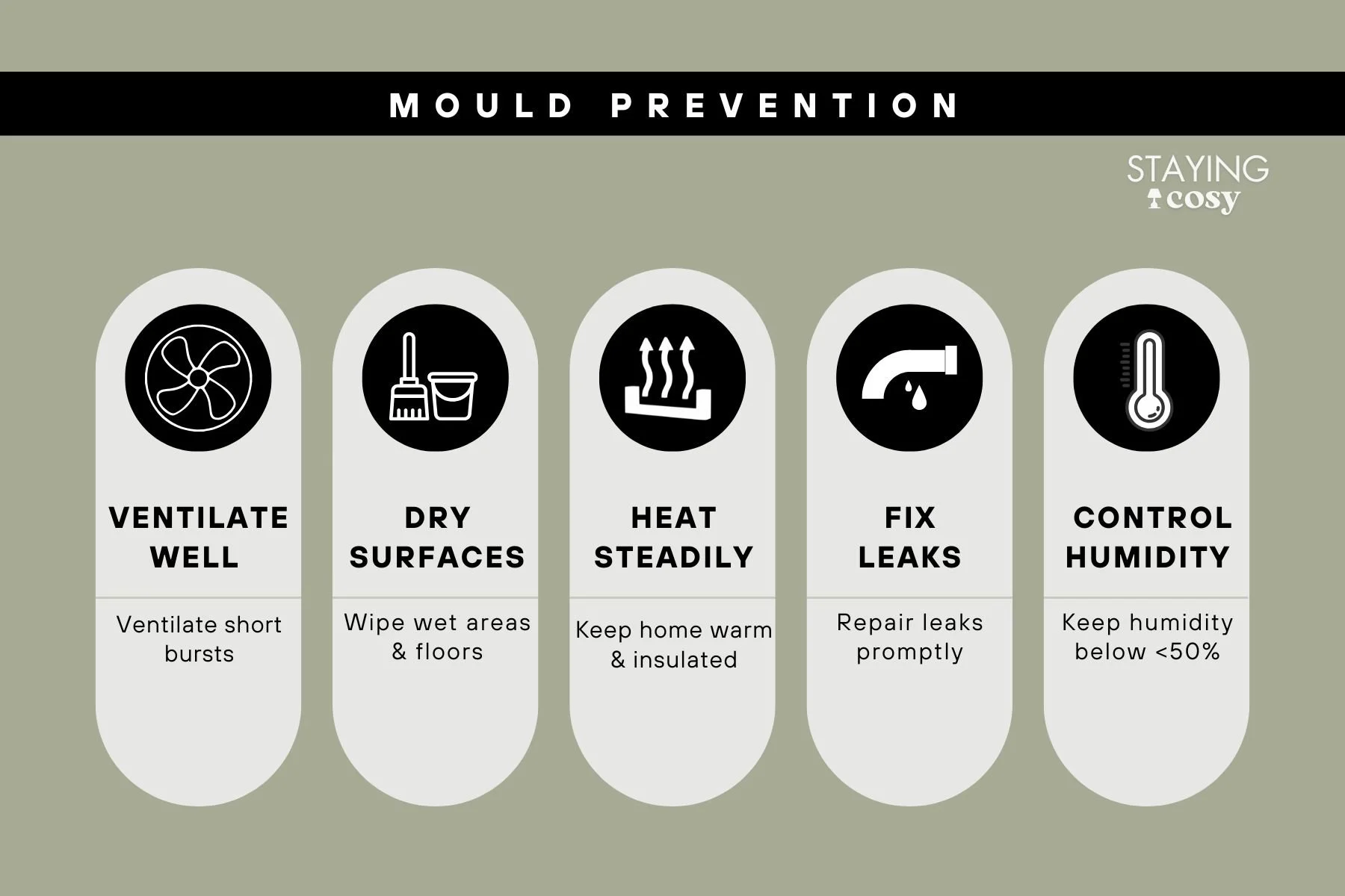 Mini infographic summarizing mould prevention steps: ventilate, dry surfaces, maintain steady heat and insulation, fix leaks, and monitor humidity levels.