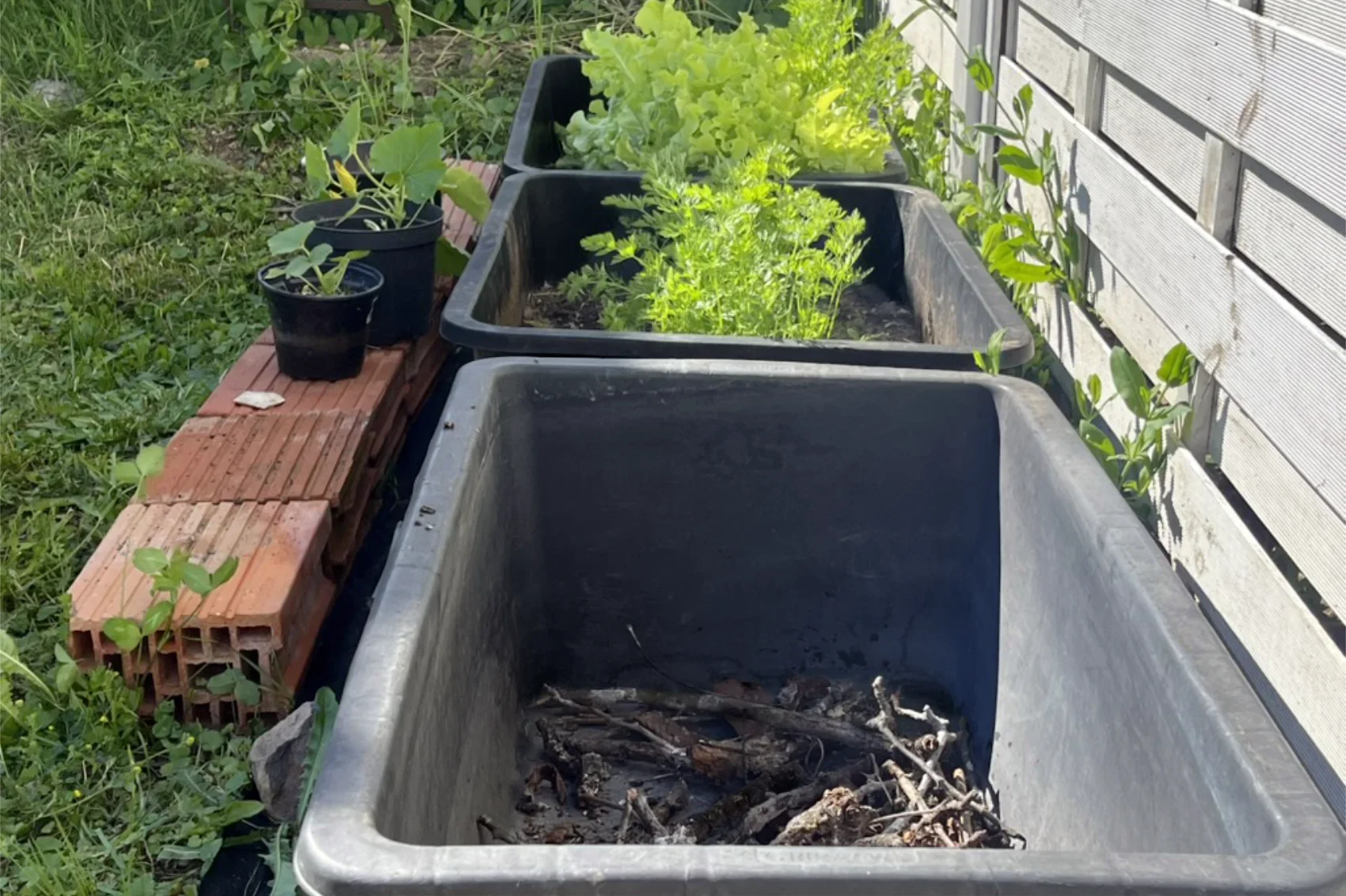 Three large DIY garden containers showing different growing stages, including planted containers and one prepared with a twig base layer