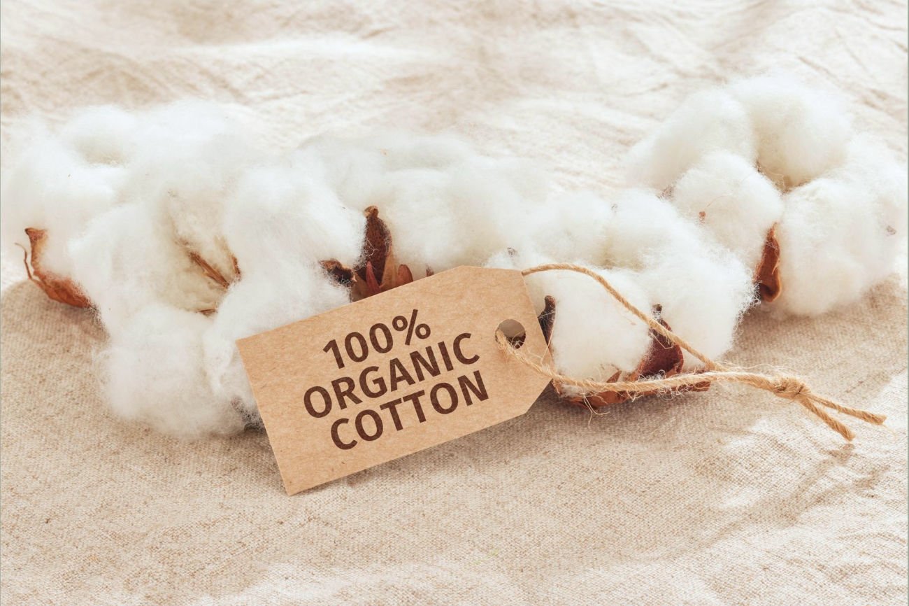Close-up of organic cotton plant and fabric with 100% organic cotton label, representing natural mattress ticking.