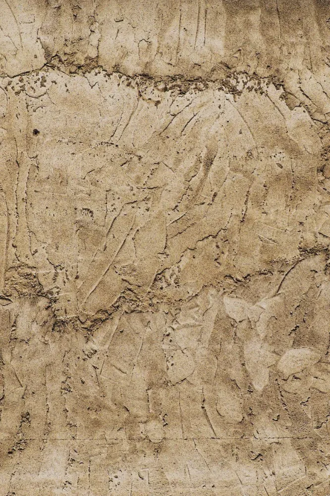Close-up detail of clay plaster being applied to an interior wall