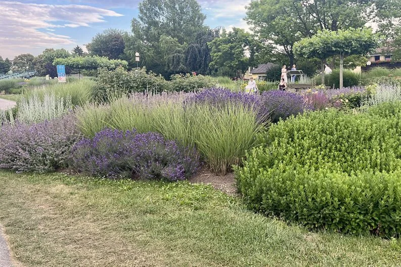 Perennial Flower Bed Ideas Inspired by the Town of Gardens