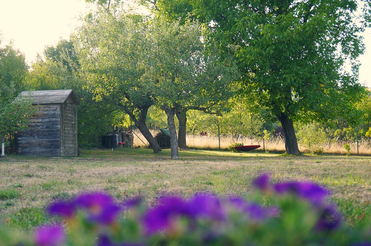 10 Years of Having a Large Garden — The Dream, the Work and the Life Between