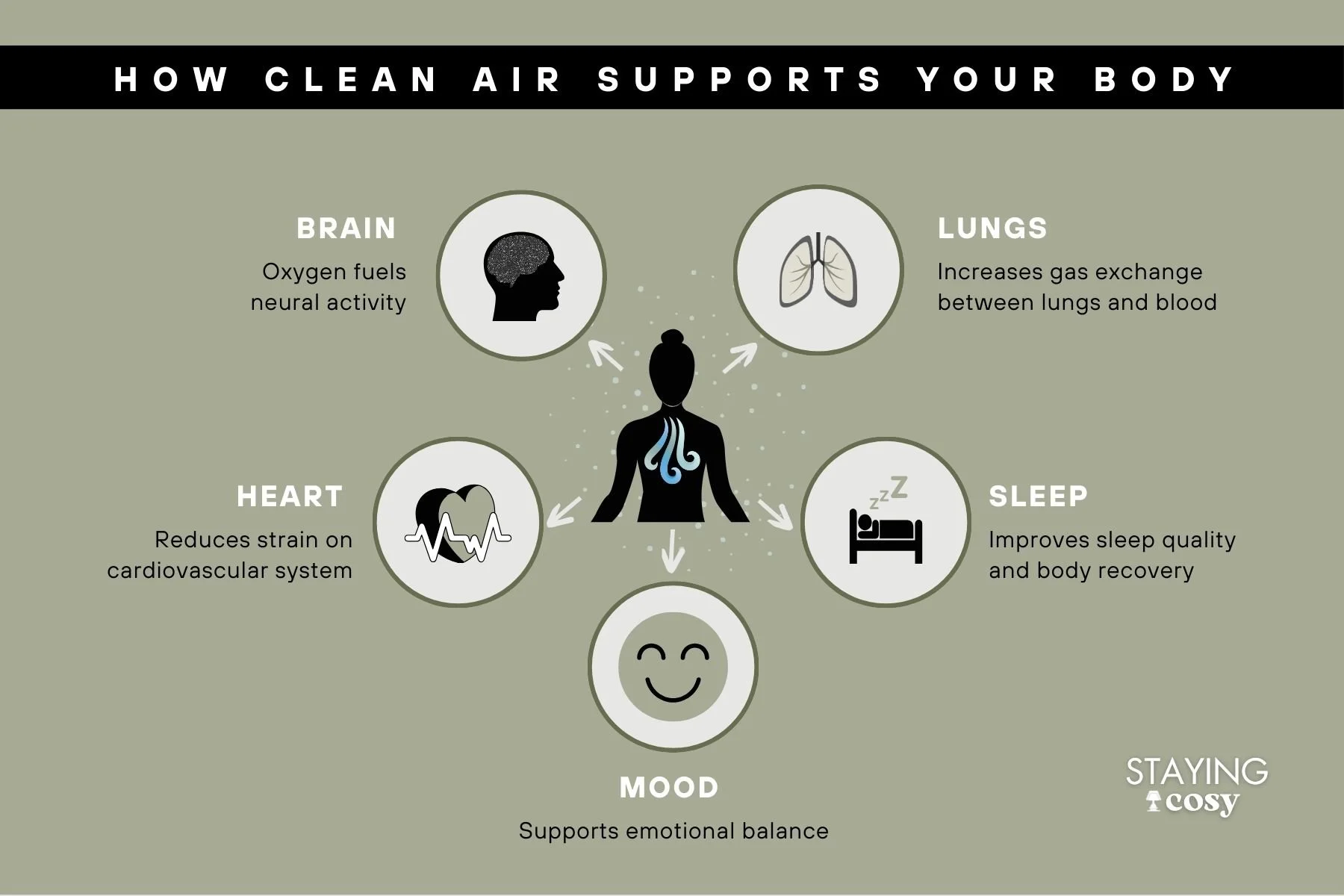 Infographic showing how fresh oxygen-rich air supports brain function, breathing, heart health, mood, and sleep