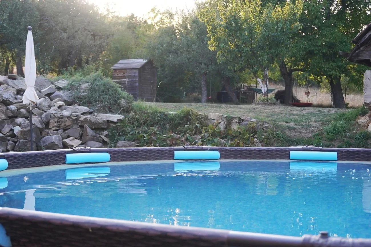 Modern frame eco-friendly backyard swimming pool reflecting a vibrant sunset, stretching out toward a large beautifully landscaped sustainable garden.