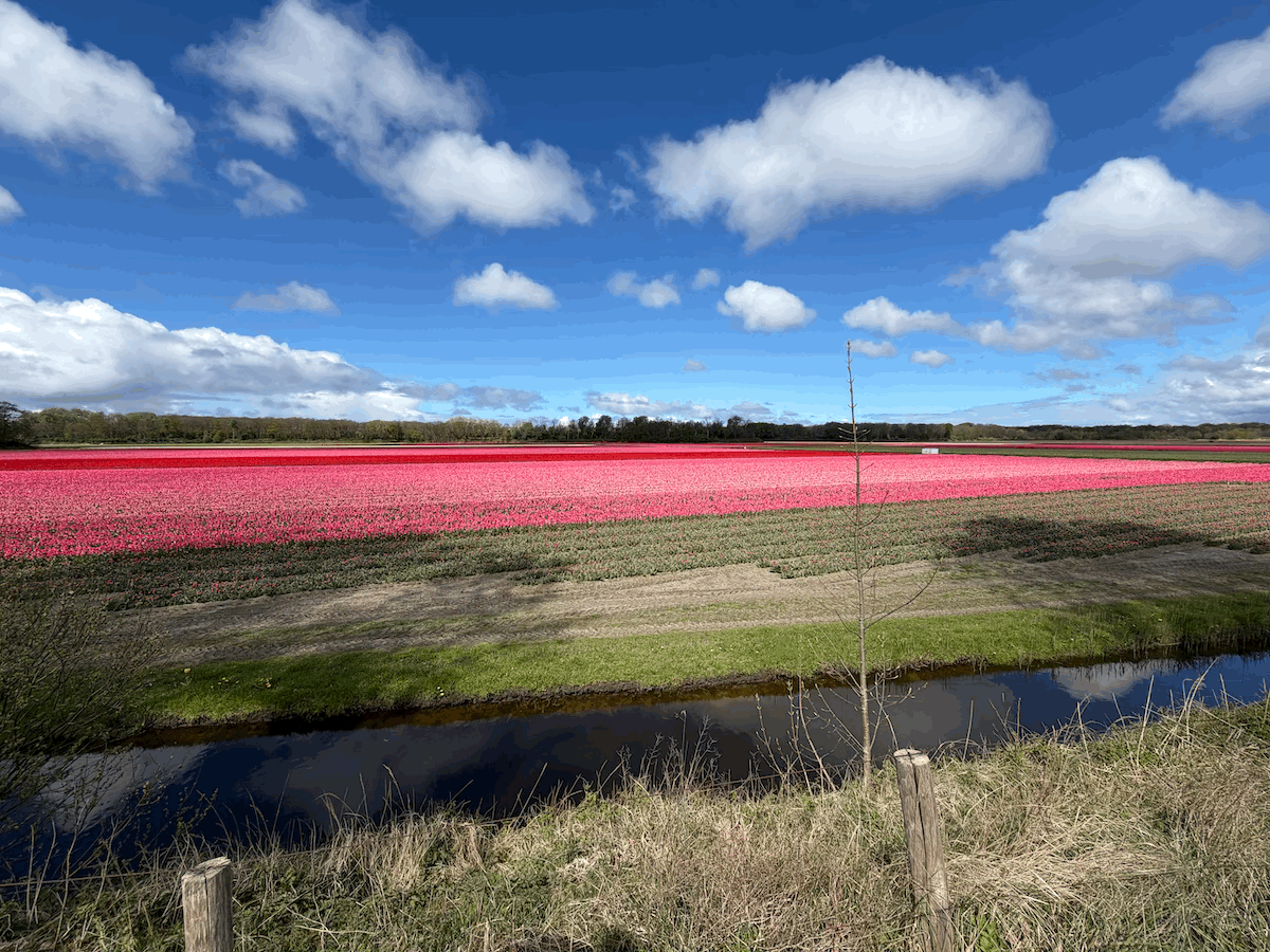 20.04.2026 - Zandvoort