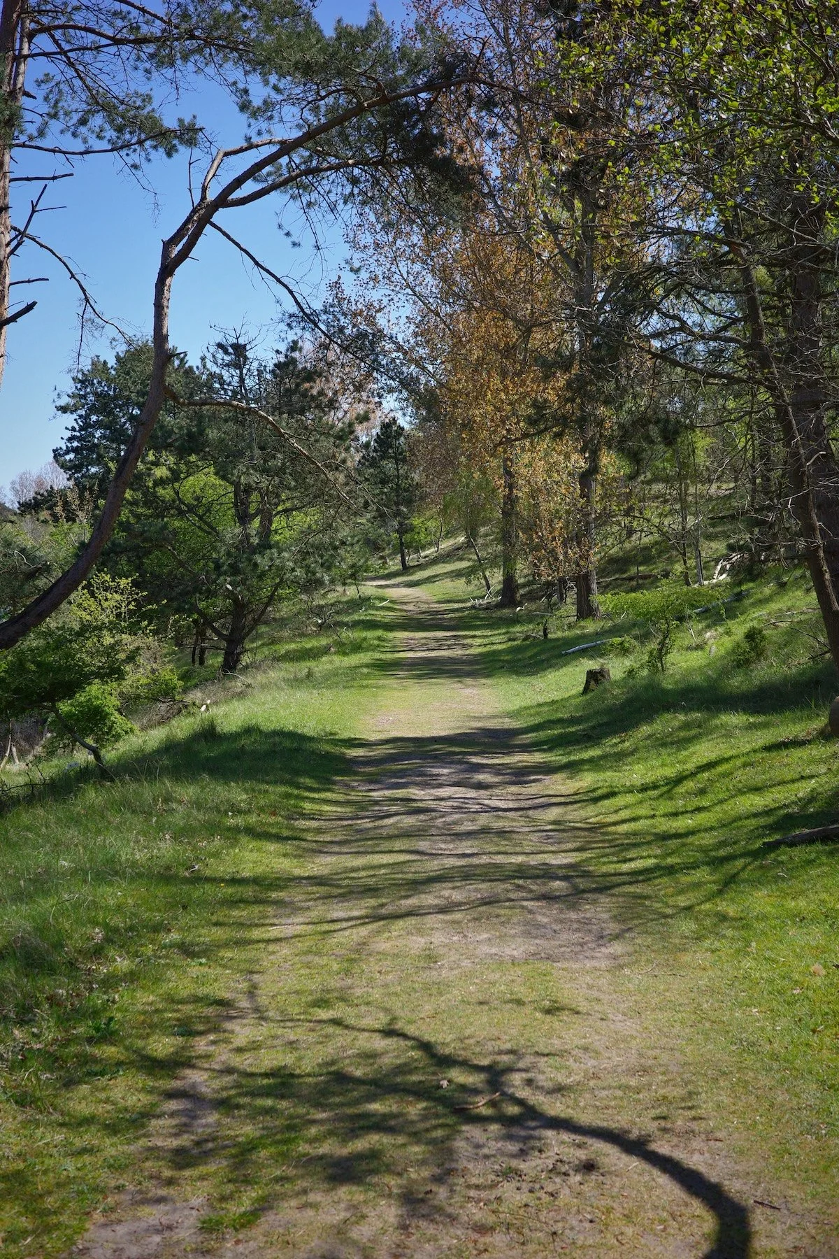 21.04.2026 - Amsterdamse Waterleidingduinen