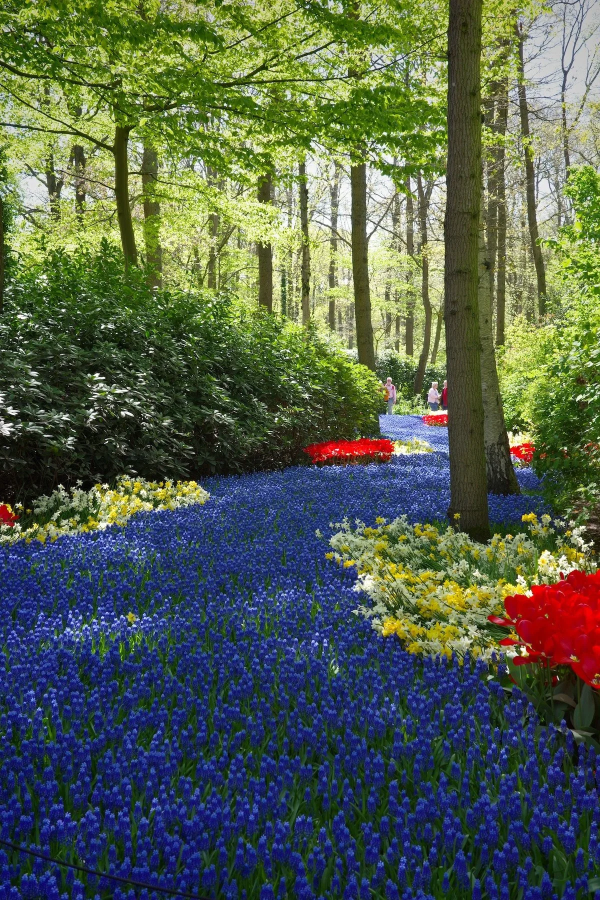 22.04.2026 - Keukenhof