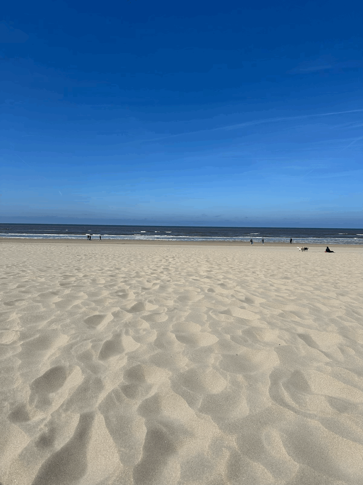 23.04.2026 - Zandvoort