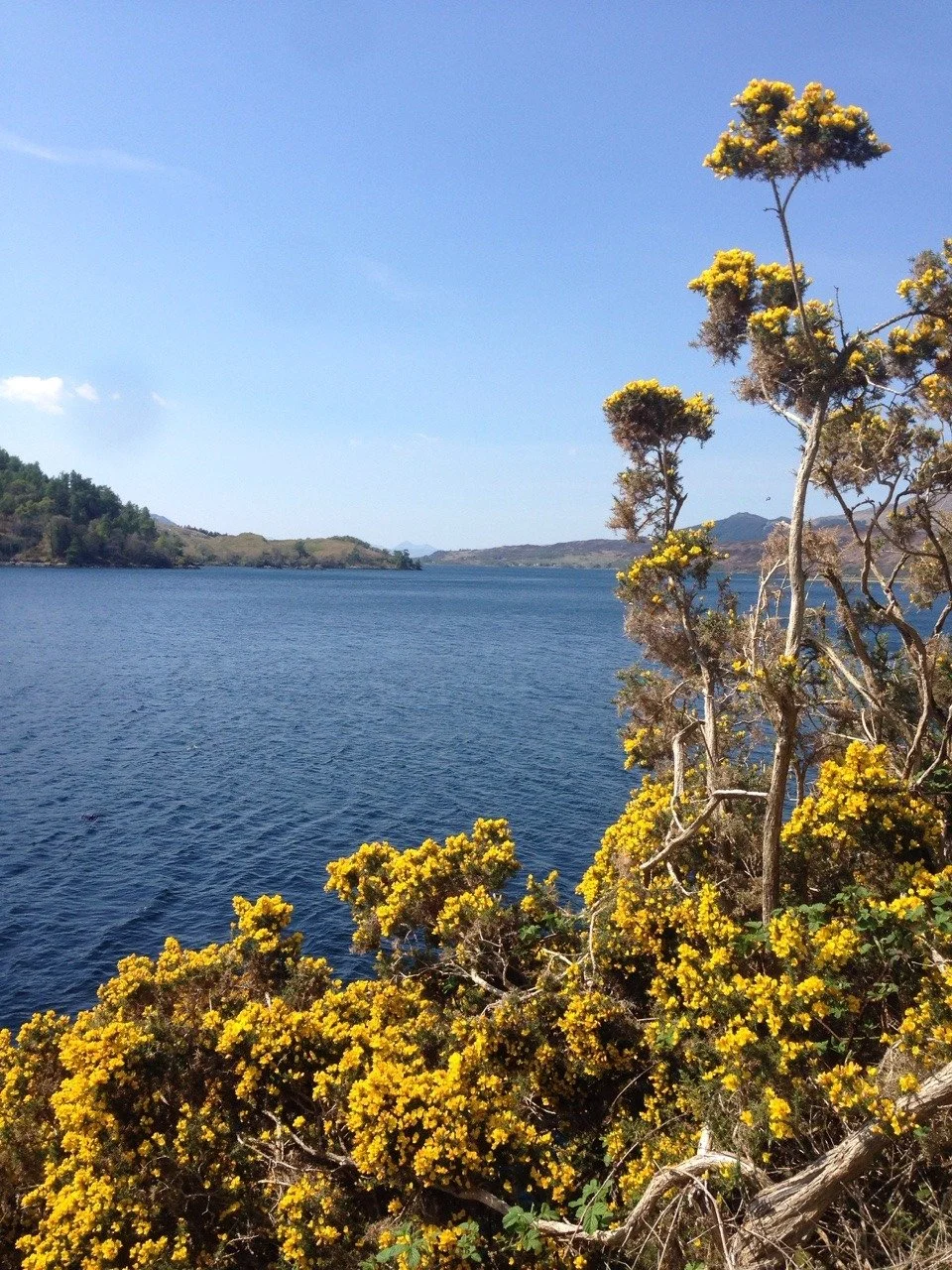Aussicht aufs Loch beim Eileen Donnan Castle