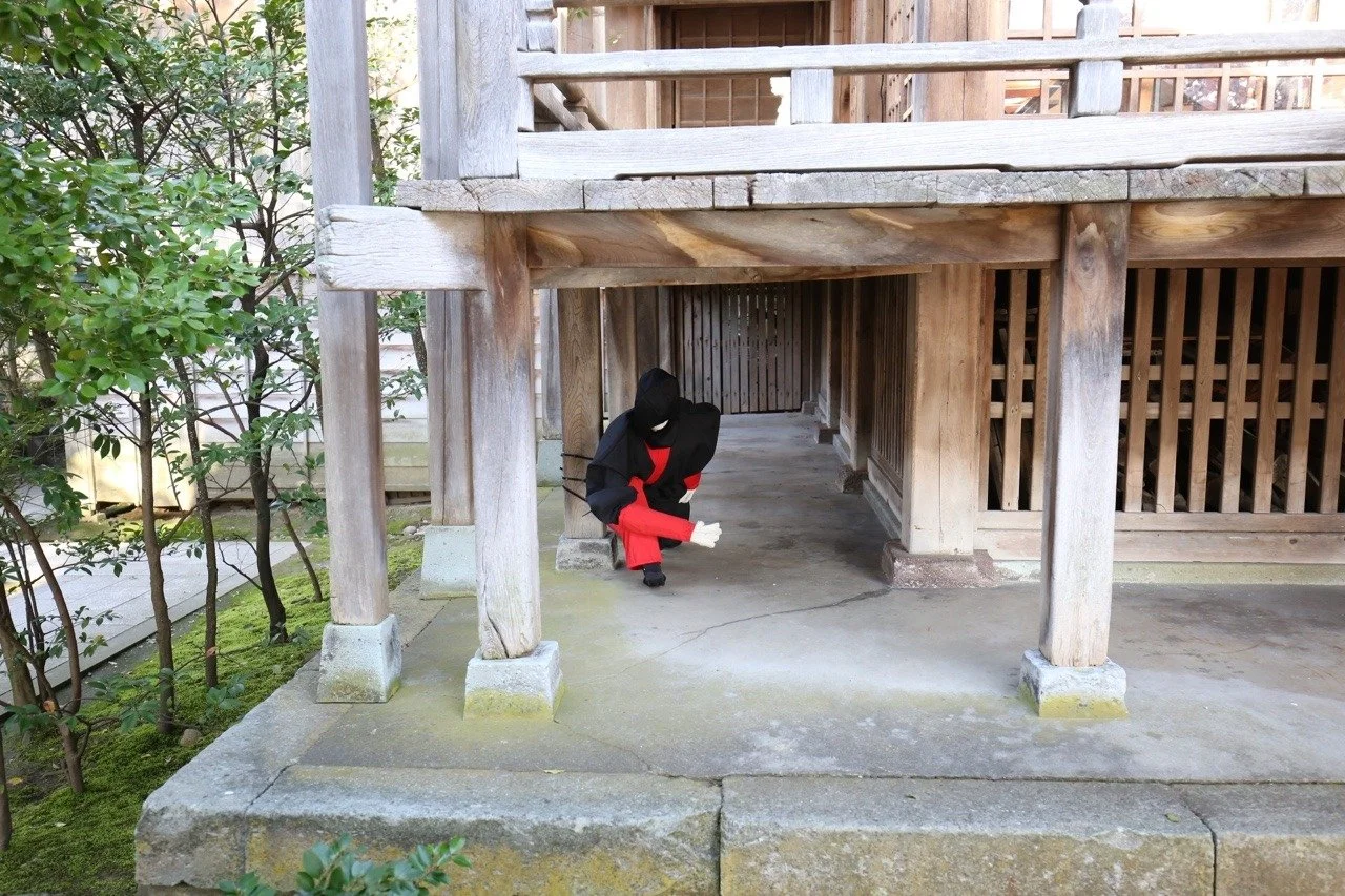 Ninja
